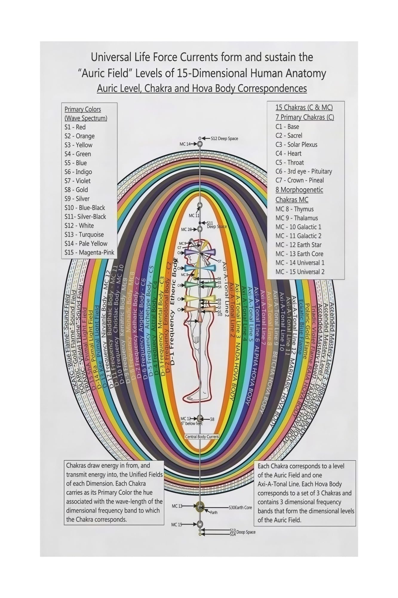 ICYJRFHLTF Yoga Anatomy Metal Tin Sign Human Body System Educational Chart Colorful Muscle Guide for Yoga Studio or Home Decor 8 X 12 in