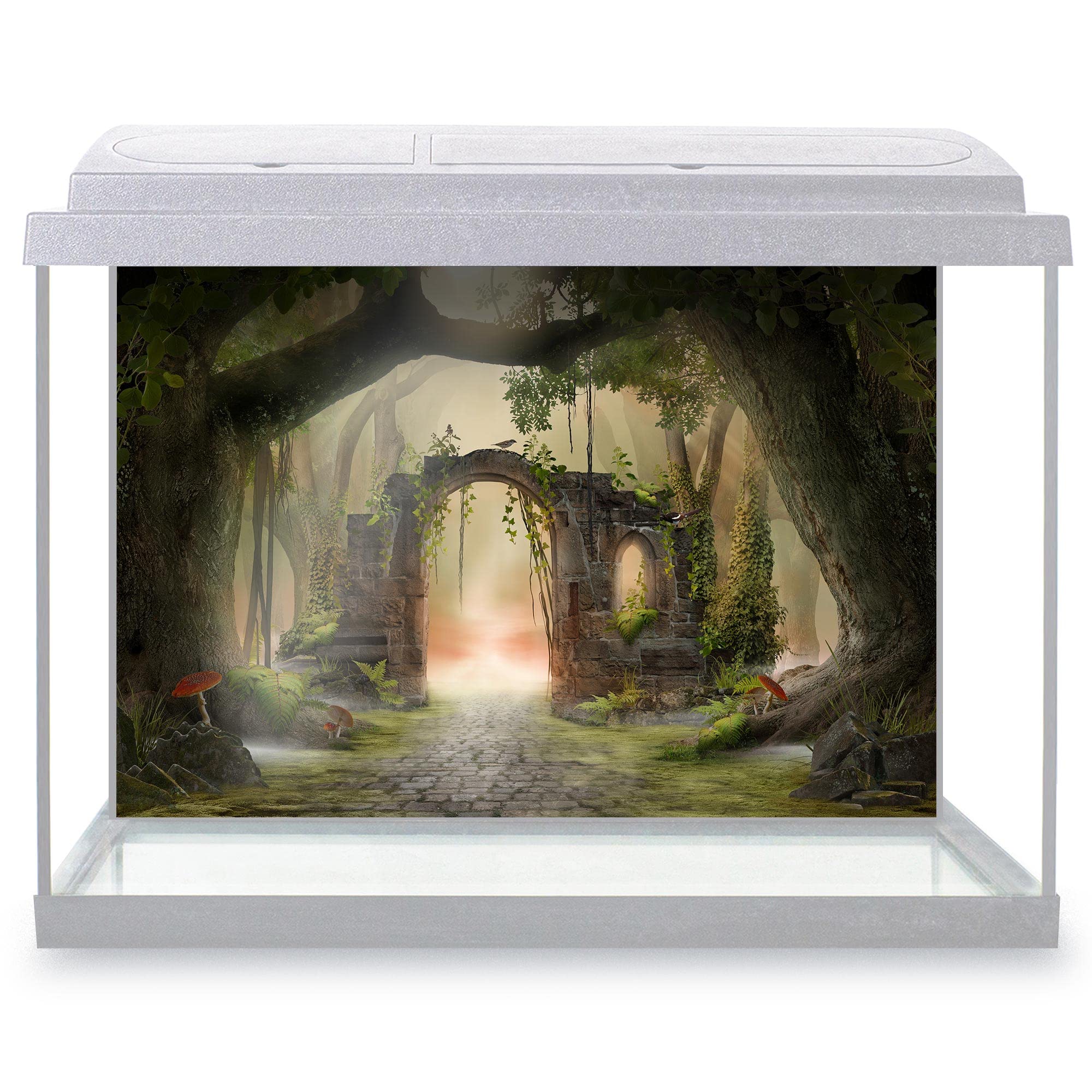 Aquarium Fish Tank Background 32x21 cm - Archway Enchanted Fairy Forest Landscape Misty Dark Mood Fantastic View Beauty Nature Static Cling Vinyl Vivarium Terrarium External Application #500196 โ image 1