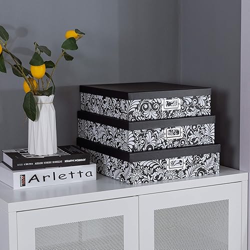 Miniatura 3 de Soul & Lane Modernas cajas de cartón decorativas botánicas con tapas, juego de 3 letras florales en blanco y negro para guardar documentos, cajas de