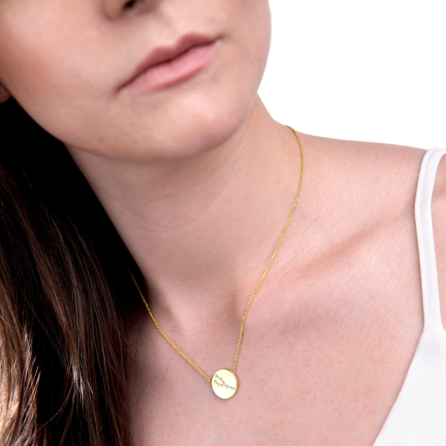 Womens Zodiac Sterling Silver and Gold Plated Crystal Pendant Necklace With 16 Inch Cable Chain Birthmonth Pendant - Jewelry Gift for her
