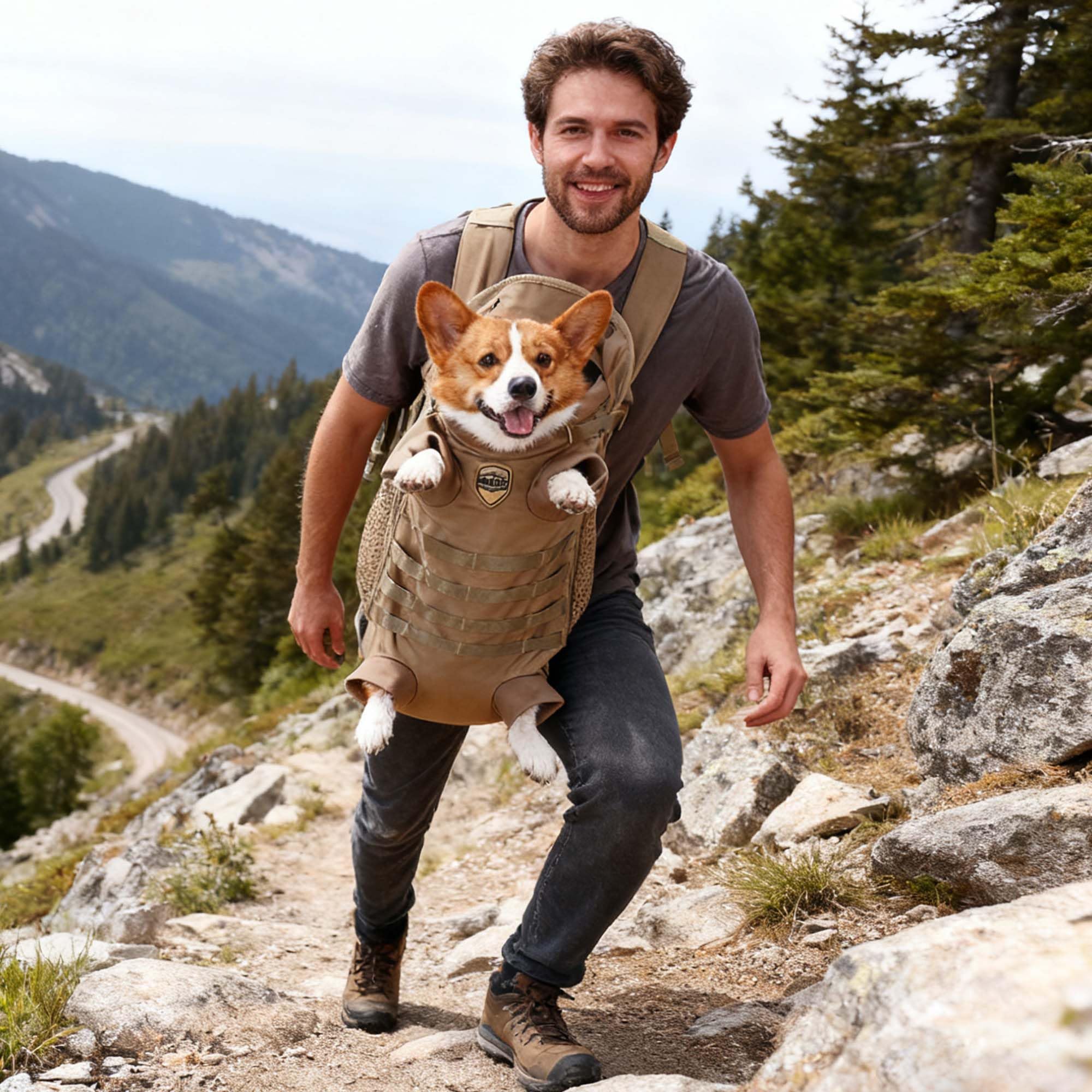 agave laptop backpack jansport Agave Backpack