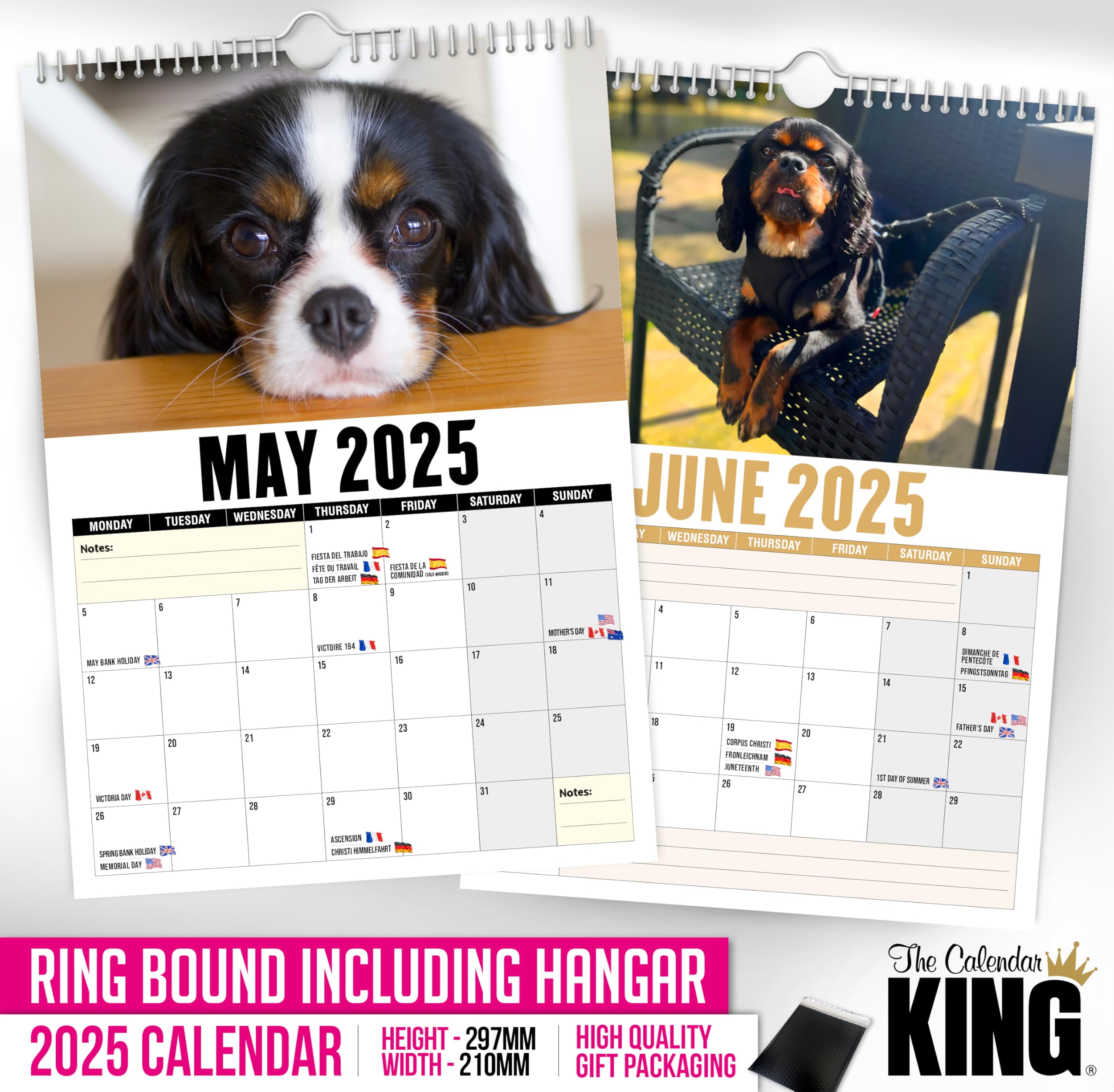 The Calendar King // Cavalier King Charles - A4 Size 2026 Wall Calendar, Full Colour - Image 4