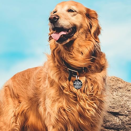 Miniatura 5 de YEHANTI - Etiquetas de perro grabadas para mascotas, etiquetas de identificación de mascotas de acero inoxidable con diseños de girasol, etiquetas