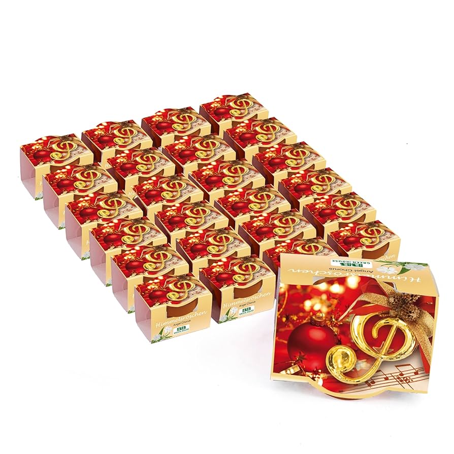 Bull & Bear Himmelsröschen Set - 10 Mini Pflanzsets Mit Samen & Tontöpfen