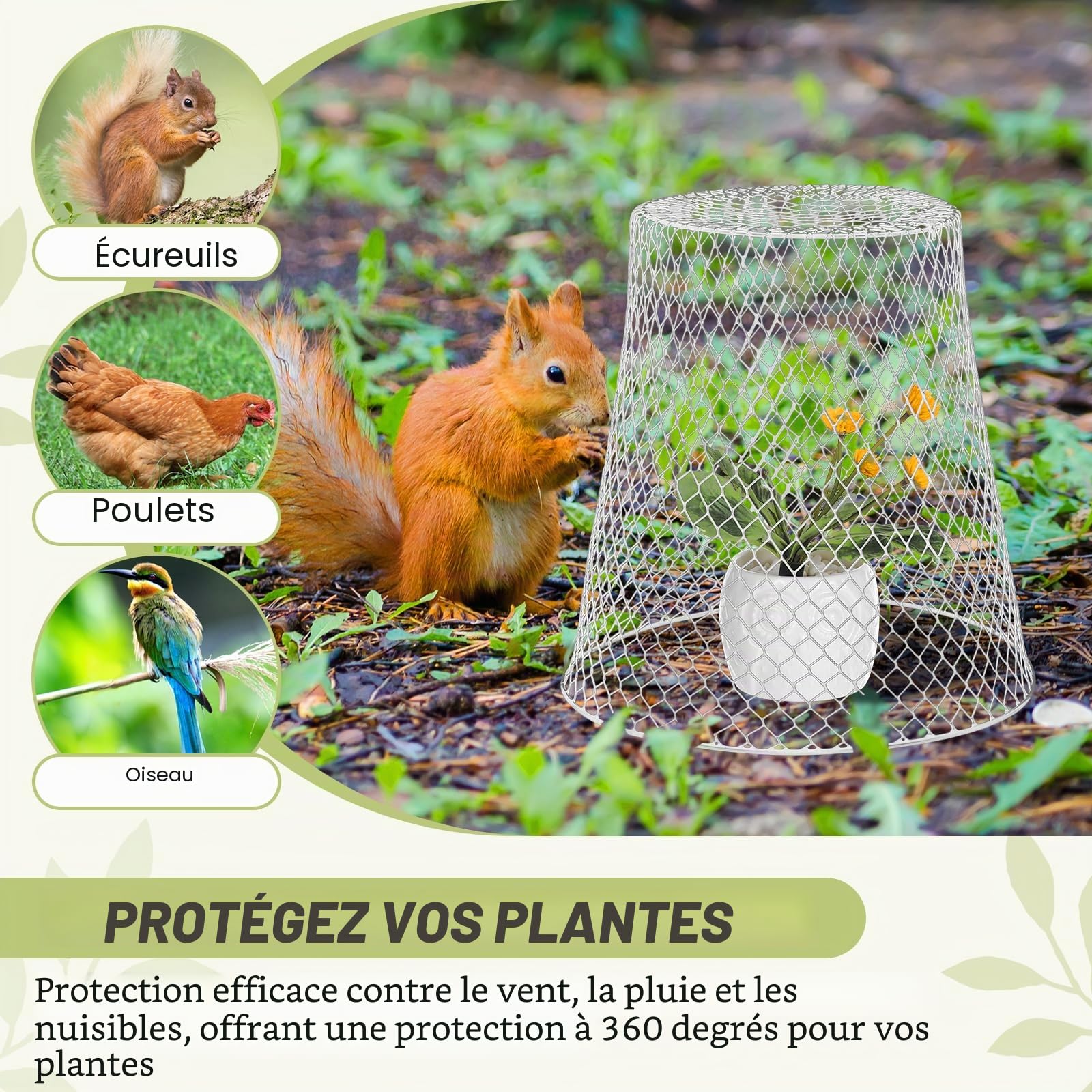 10 Pièces Cloches Grillagées pour Plantes, Cloche de Jardin en Métal, Cloche de Plante en Fil de Jardin en Métal, Cloche de Jardin en Fil de Fer pour Éloigner Poulets Écureuils Oiseaux (Blanc)