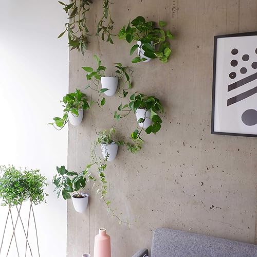 Miniatura 8 de PlantPod Luxe - Macetas de pared con riego automático (juego de 3), fáciles de regar e instalar, ligeras, diseña tu propio jardín vertical, macetas