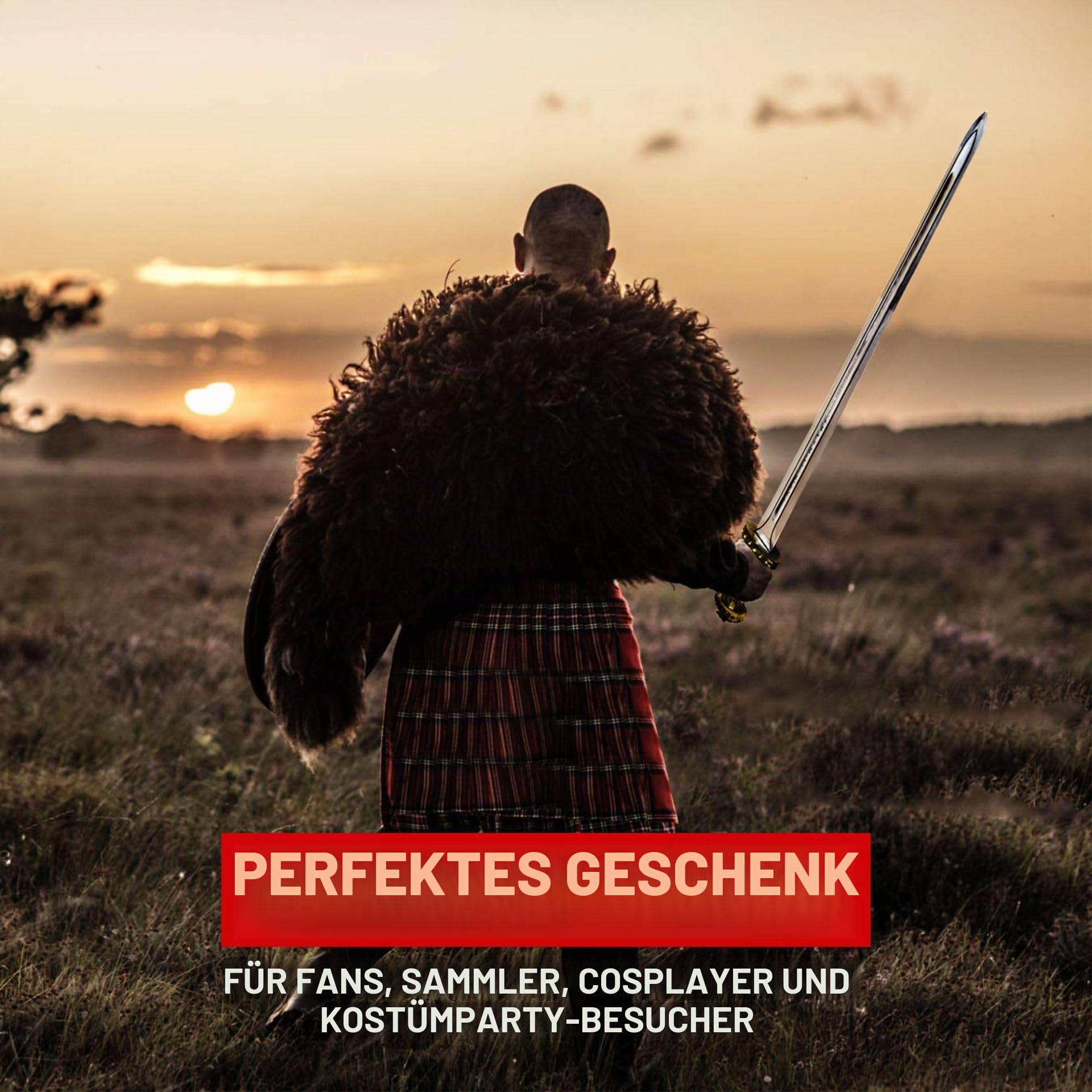 Swords and more Vikings - Schwert der Könige – Ragnar Lothbroks Wikingerschwert mit Wandtafel aus Holz, 100 cm Gesamtlänge, Metallschwert für Cosplays, Sammlungen & als Geschenk