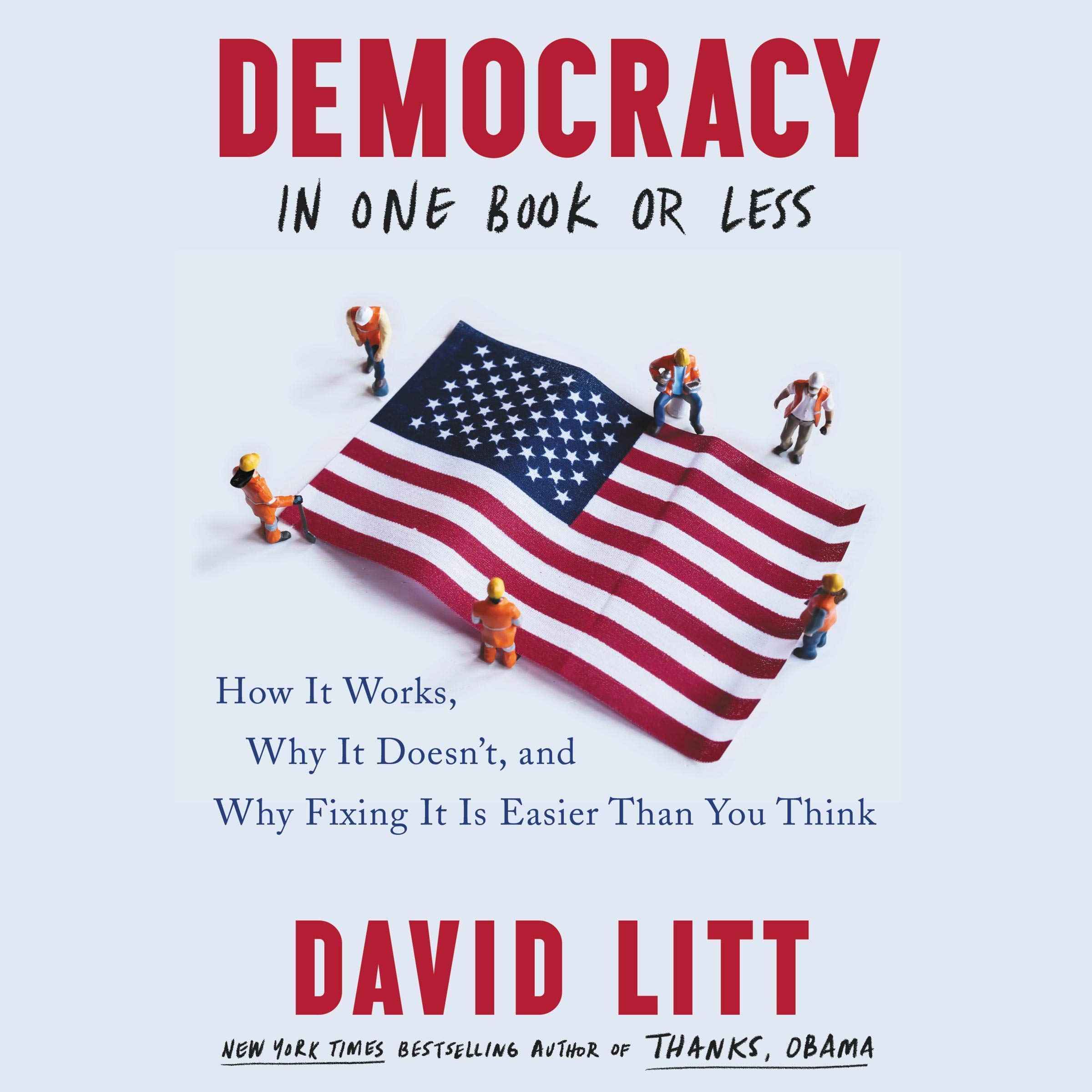 Cover art for Democracy in One Book or Less