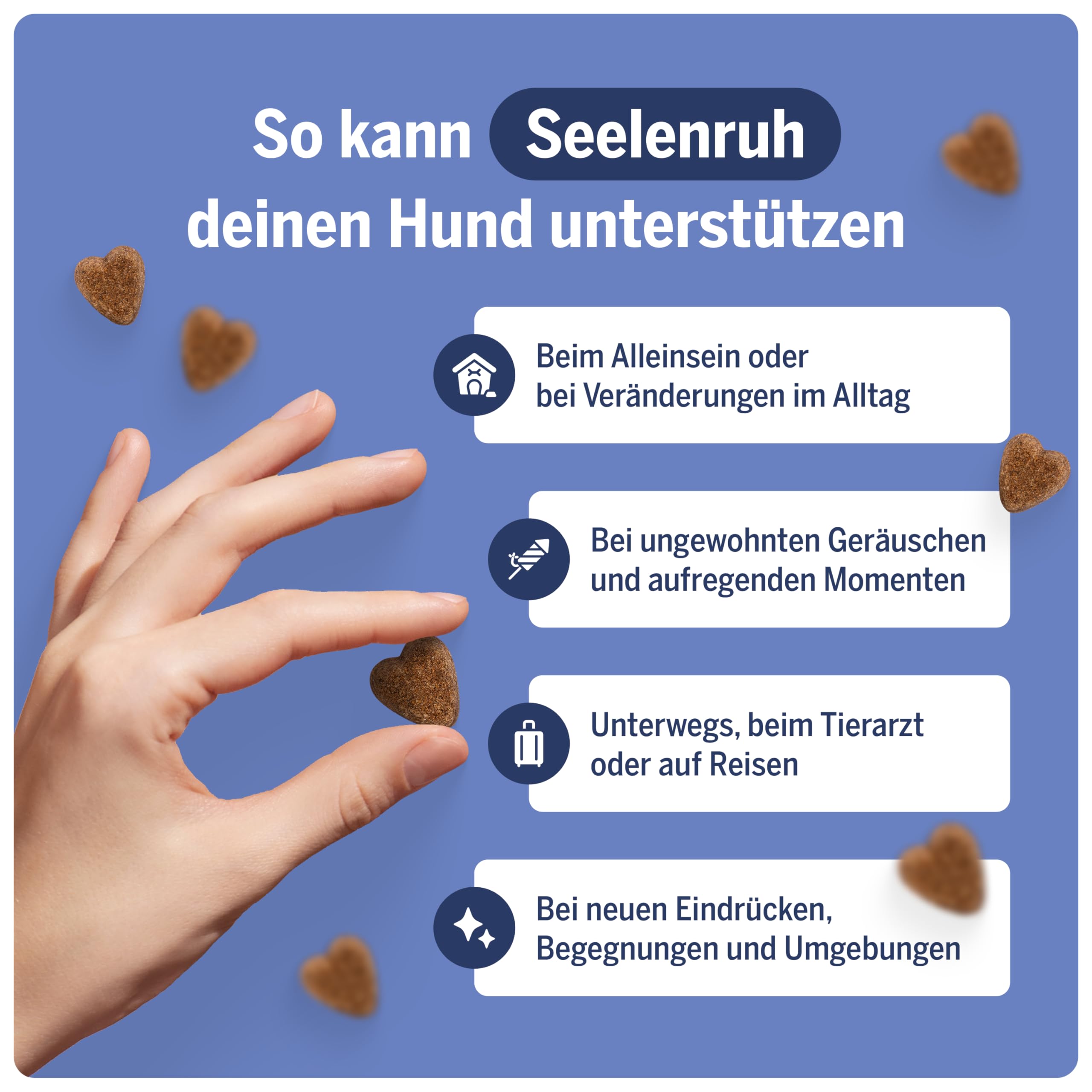 Seelenruh - Beruhigung Hunde Snacks mit L-Tryptophan, L-Theanin, Baldrian & Melatonin - Entspannungs-Snacks für Ruhe & Entspannung - Alternative zu Beruhigungsmittel für Hunde 100 Stück