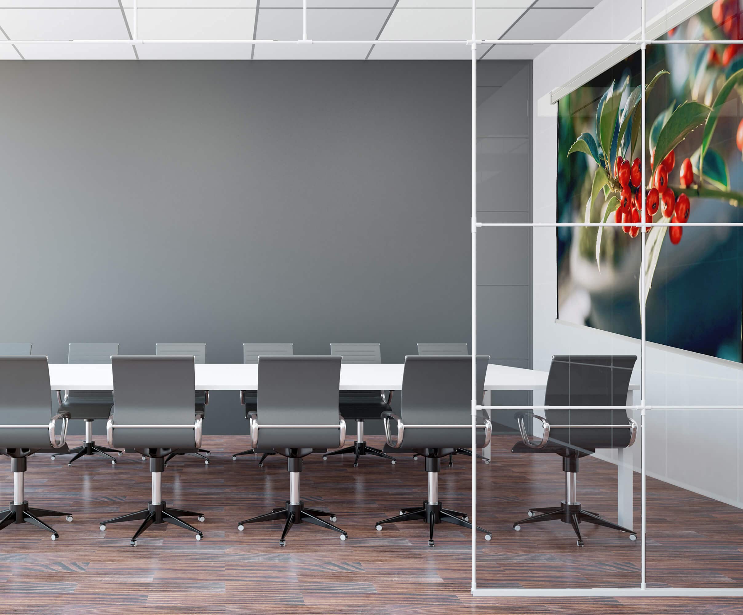 Celexon Leinwand Rollo Professional Plus 220 x 124 cm