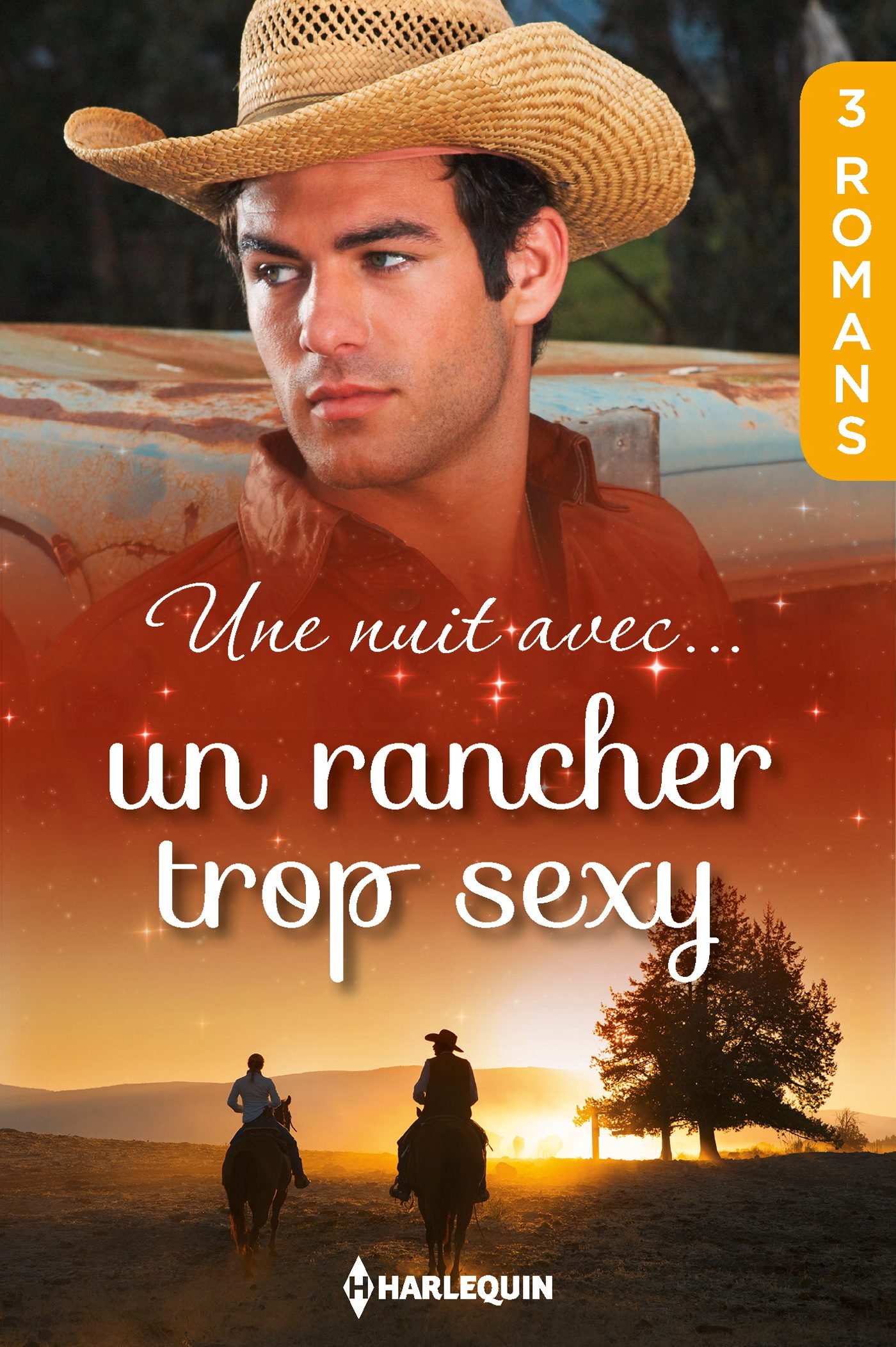 Une nuit avec... un rancher trop sexy (French Edition)