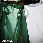Lacoste 100% Cotton Percale Solid Sheet Set, Breathable, Cooling & Hotel Quality Sheets - Deep Pocket, Easy-Fit, Oeko-Tex Certified, Dark Grey, Twin