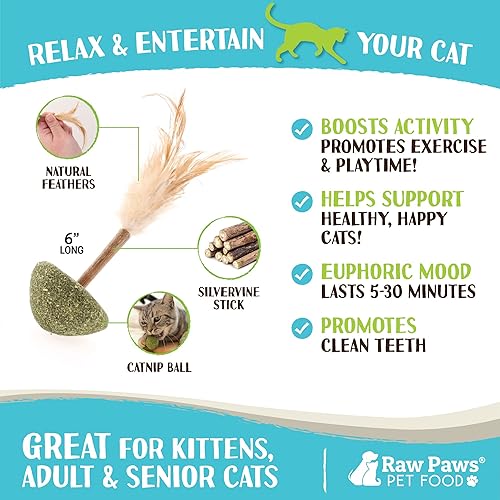 Miniatura 4 de Raw Paws Silvervine - Juguetes de piruletas (paquete de 3) – Juguetes de plumas para gatos de interior – Juguete interactivo para gatos con plumas –