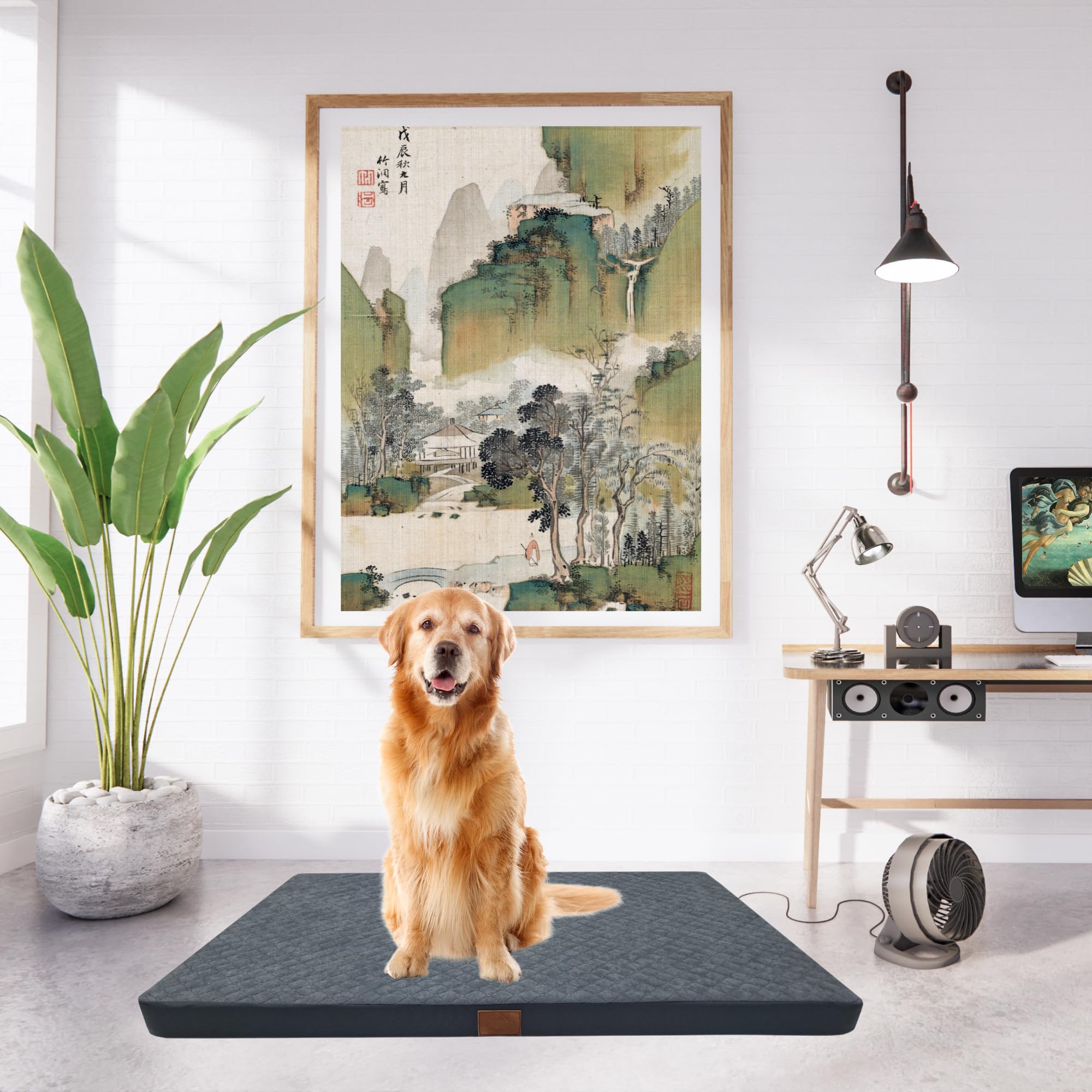 Odolplusz - Cama ortopédica para perros de tamaño mediano y grande, colchón para perros con funda lavable, grafito, 120 x 80 x 7 cm