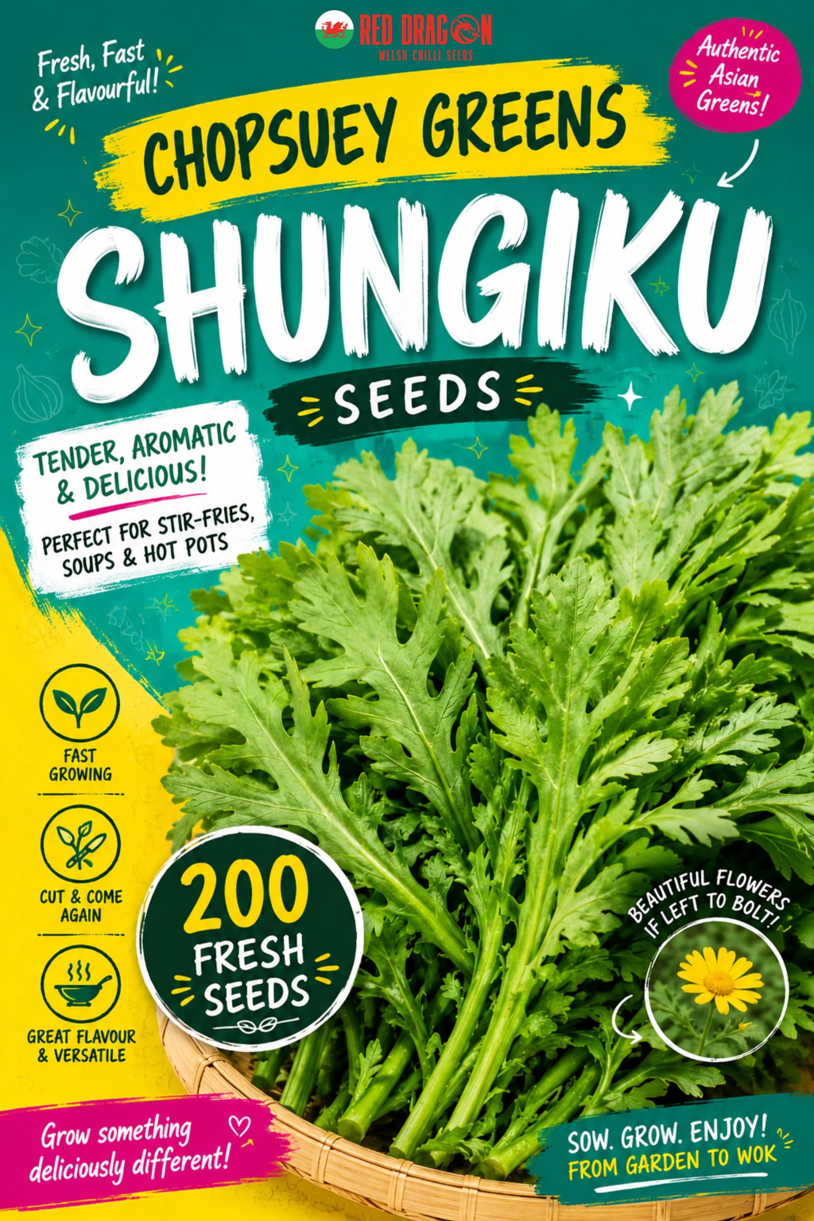 Chopsuey Greens Shungiku Seeds – 200 Fresh Seeds – Edible Chrysanthemum – Fast Growing Asian Leaf Vegetable – Cut & Come Again Salad Leaves – Ideal for Stir Fry, Soups & UK Growing