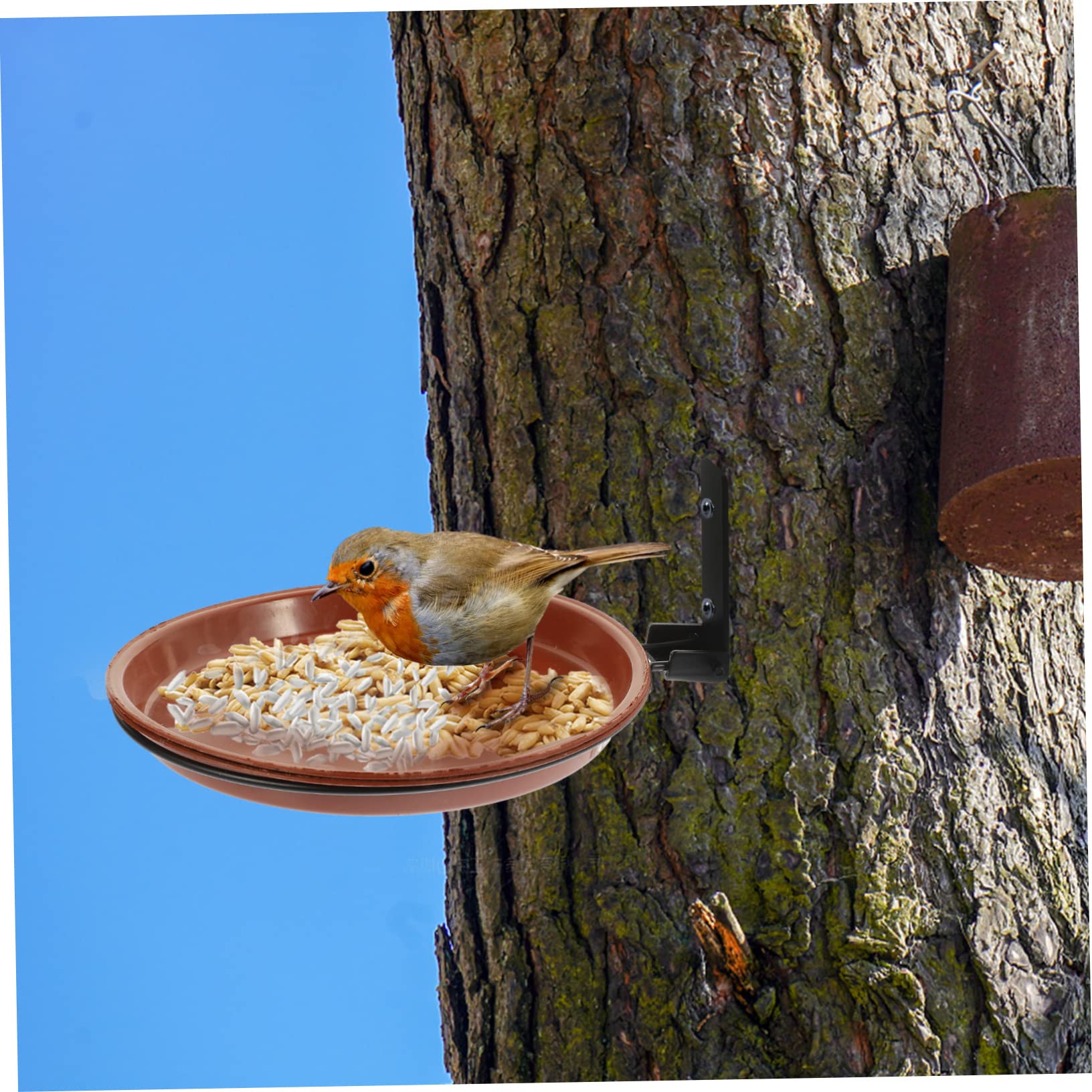 BESPORTBLE 3juegos Comedero para Pájaros Colgante con Plato Juego De Soporte Resistente para Jardín y Patio para Aves Exterior
