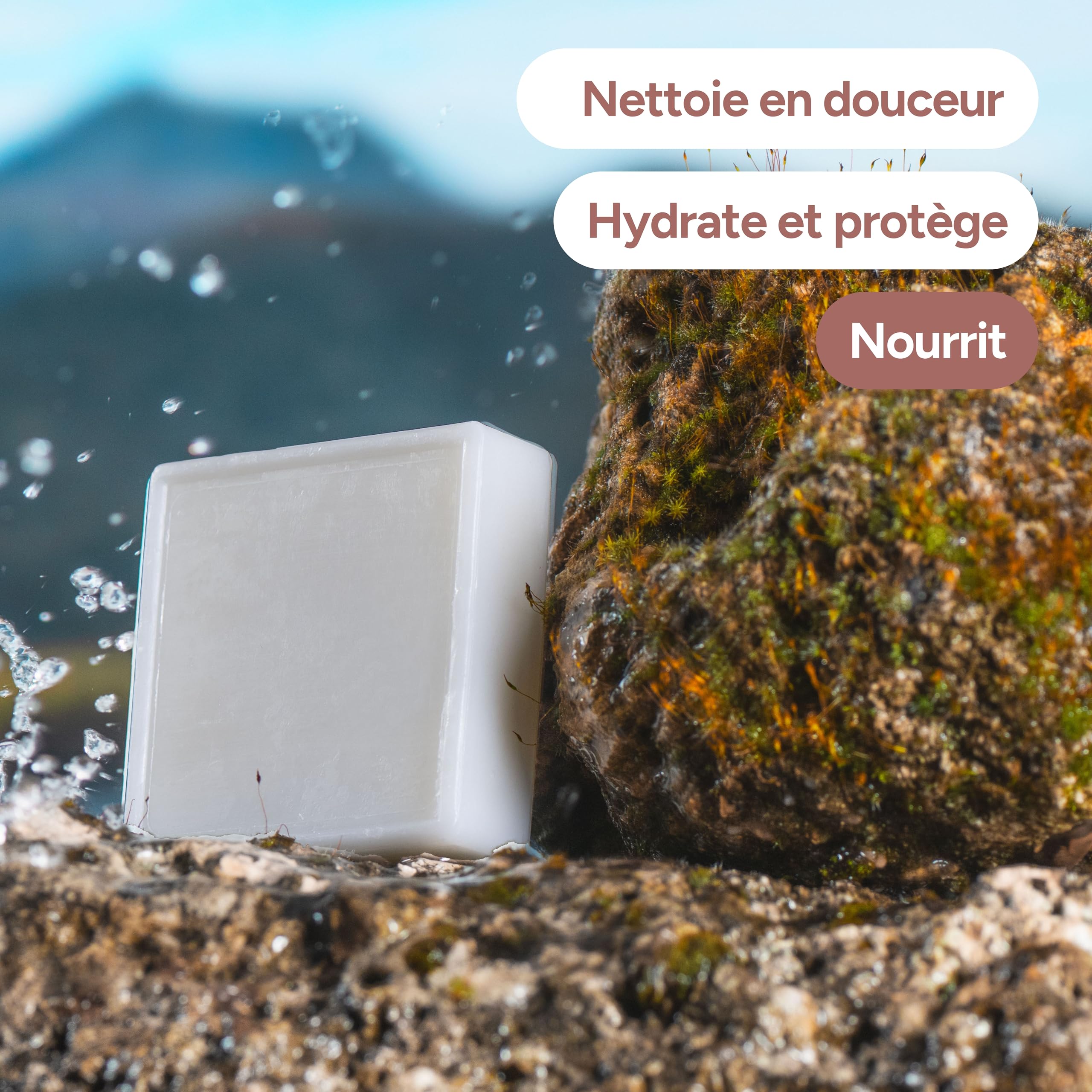 Savon Solide Beurre de Karité & Aloe Vera BIO 100g - 98% Origine Naturelle & Made in France - Protection & Douceur - Tous Types de Peaux