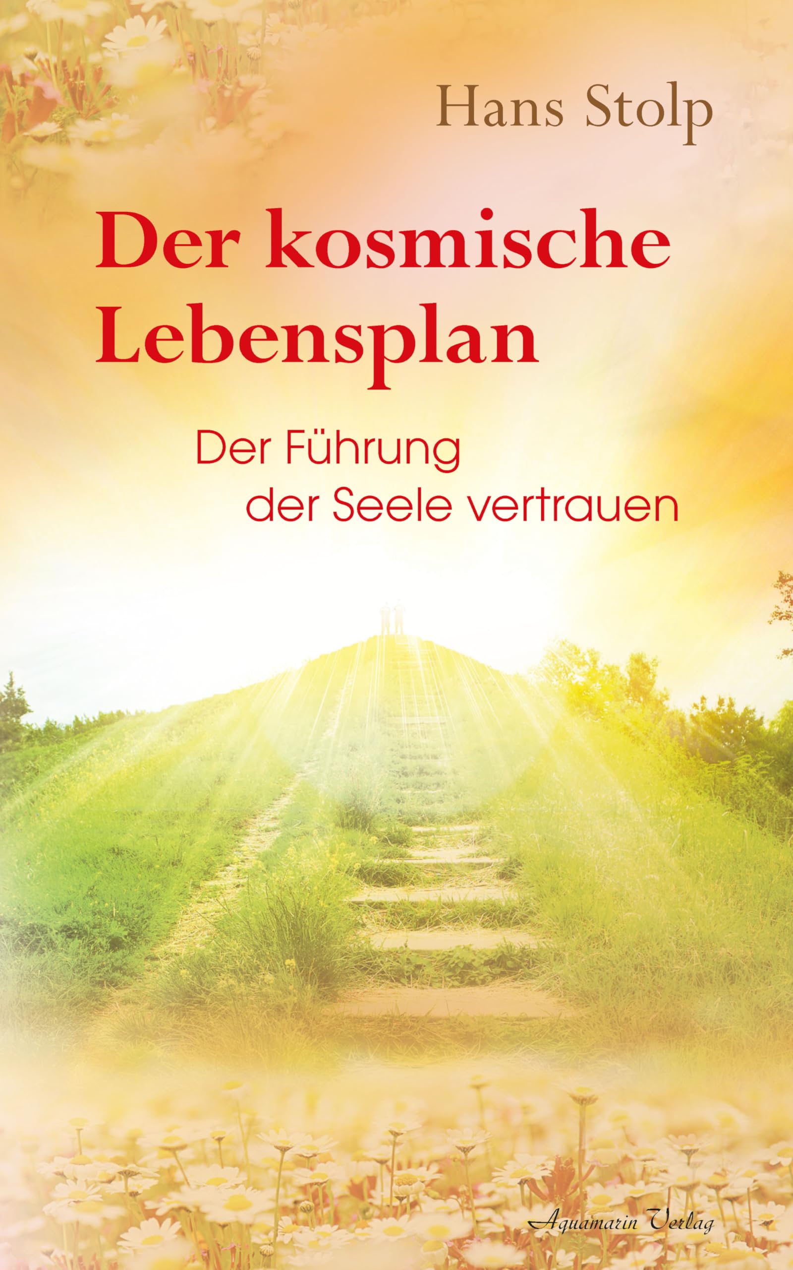 Der kosmische Lebensplan - Der Führung der Seele vertrauen (German Edition)