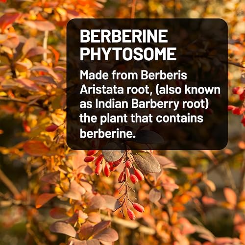Miniatura 9 de NatureWise Suplementos de fertilidad de mio-inositol y D-quiro inositol para mujeres, proporción 401 suministro de 30 días + berberina 1000 mg -