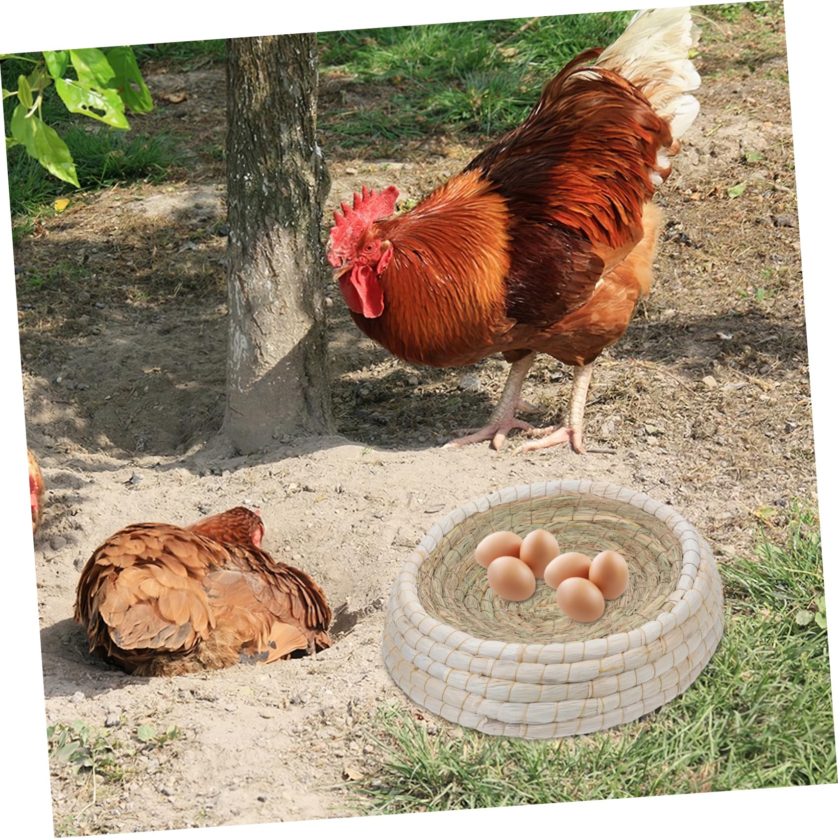 YARNOW Nido di pollame Casa per piccioni Cava per Uccelli Quaglia Gabbia per quaglie coop Nido di Allevamento di Uccelli Trasparente casa dell'uccello della Colomba Cannuccia Light Brown