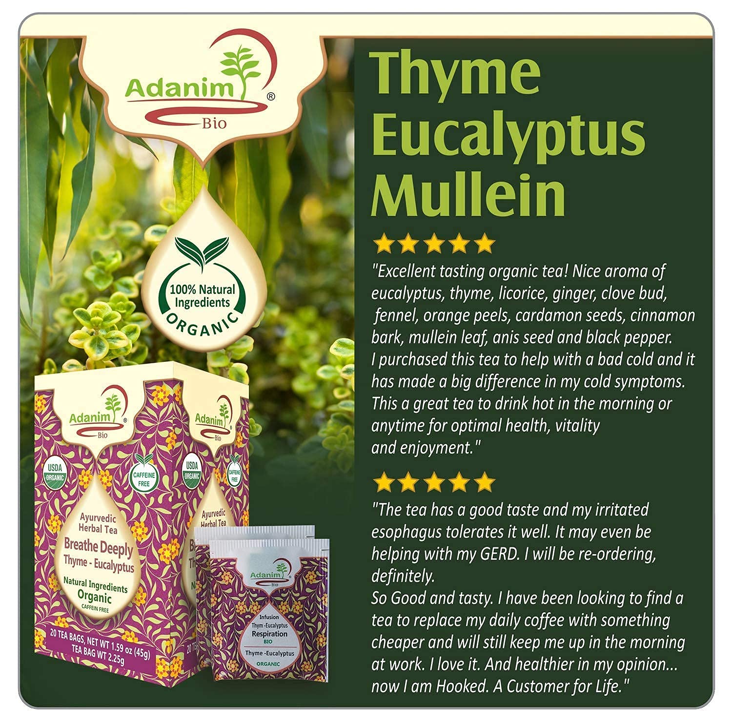 Adanim Bio Eucalyptus Thyme & Mullein Leaf Tea Bags Organic Gourmet