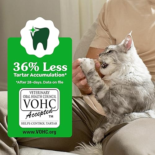 Miniatura 4 de Greenies Feline - Golosinas dentales para gatos adultos, sabor a pollo asado al horno, bañera de 21 onzas