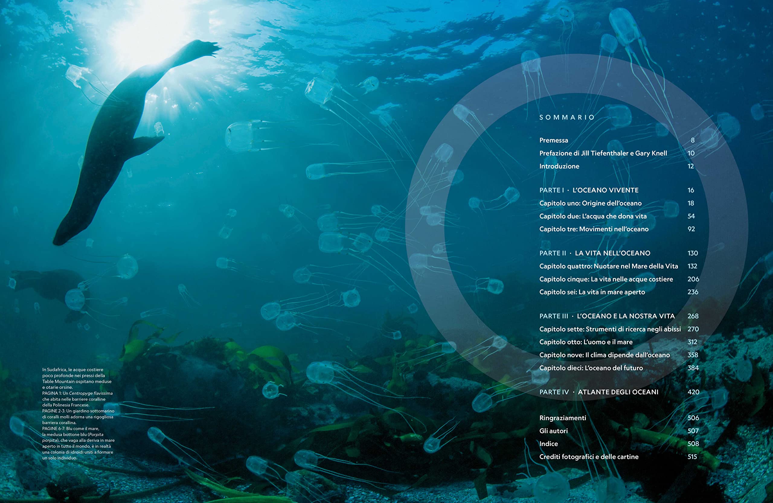 NATURA E POPOLI - Oceani: L'ultima odissea | National Geographic | Edizione Illustrata | Impegno Globale per la Natura