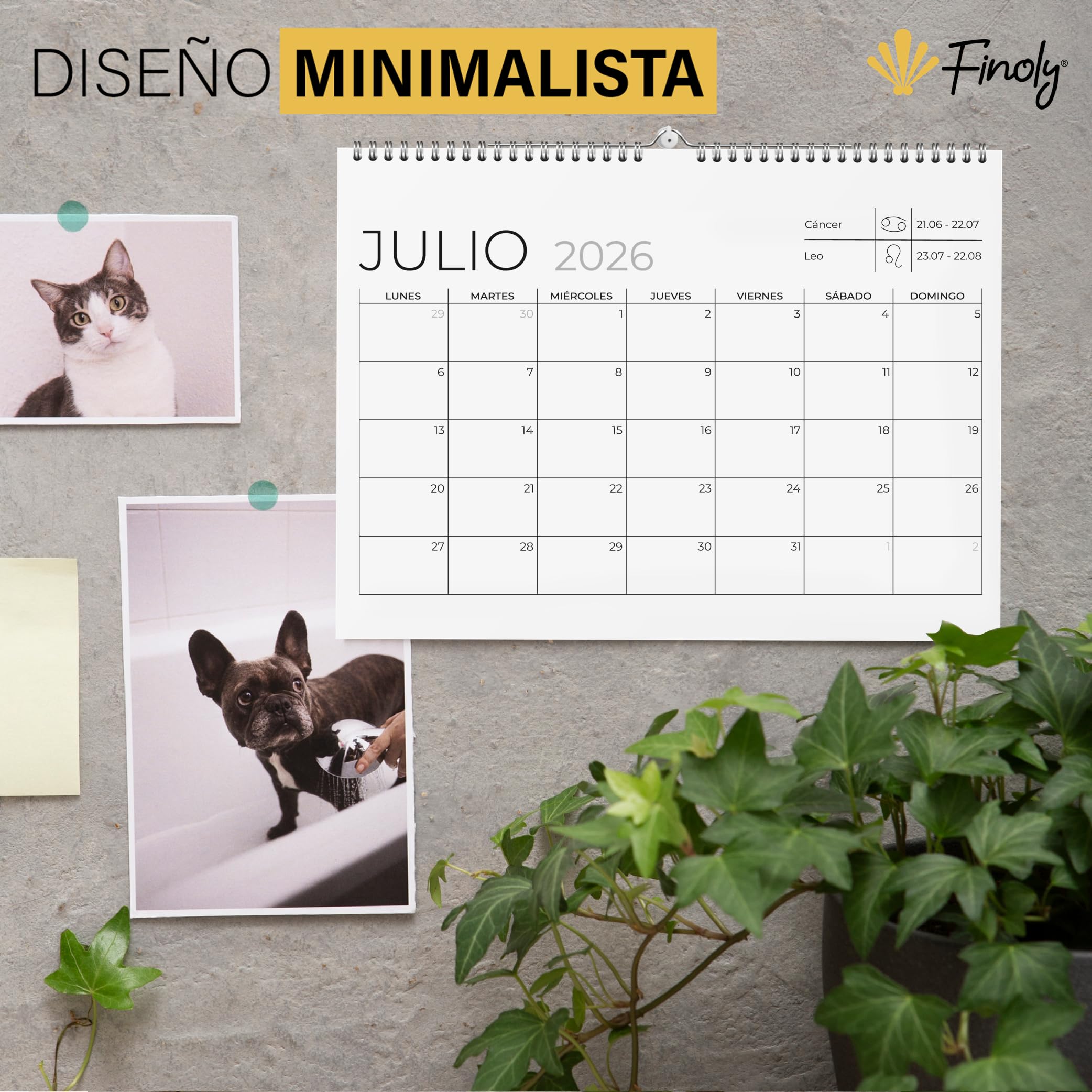 Finoly Calendario 2026 Pared Julio 2026 Diciembre 2027 (18 Meses) | Calendario Mensual 2026 | Calendario Pared 2026 | Almanaque 2026 con Cuelga Fácil