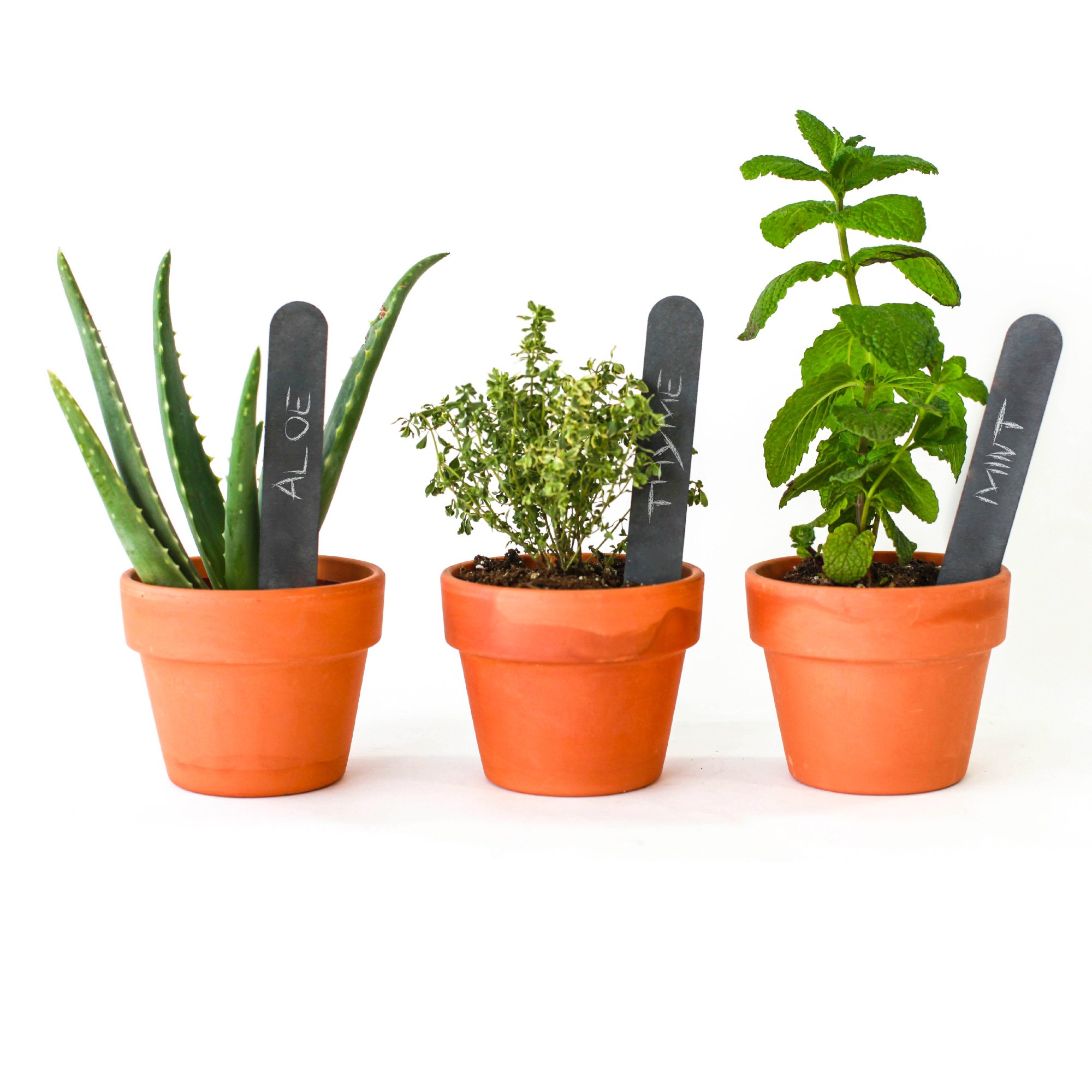 SPARQSlate Garden Markers (Set of 3), Grey