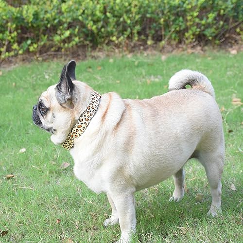 Miniatura 9 de Collar de perro con hebilla de metal duradero y ajustable suave para perros pequeños medianos y grandes punta rosa L 15-23 pulgadas