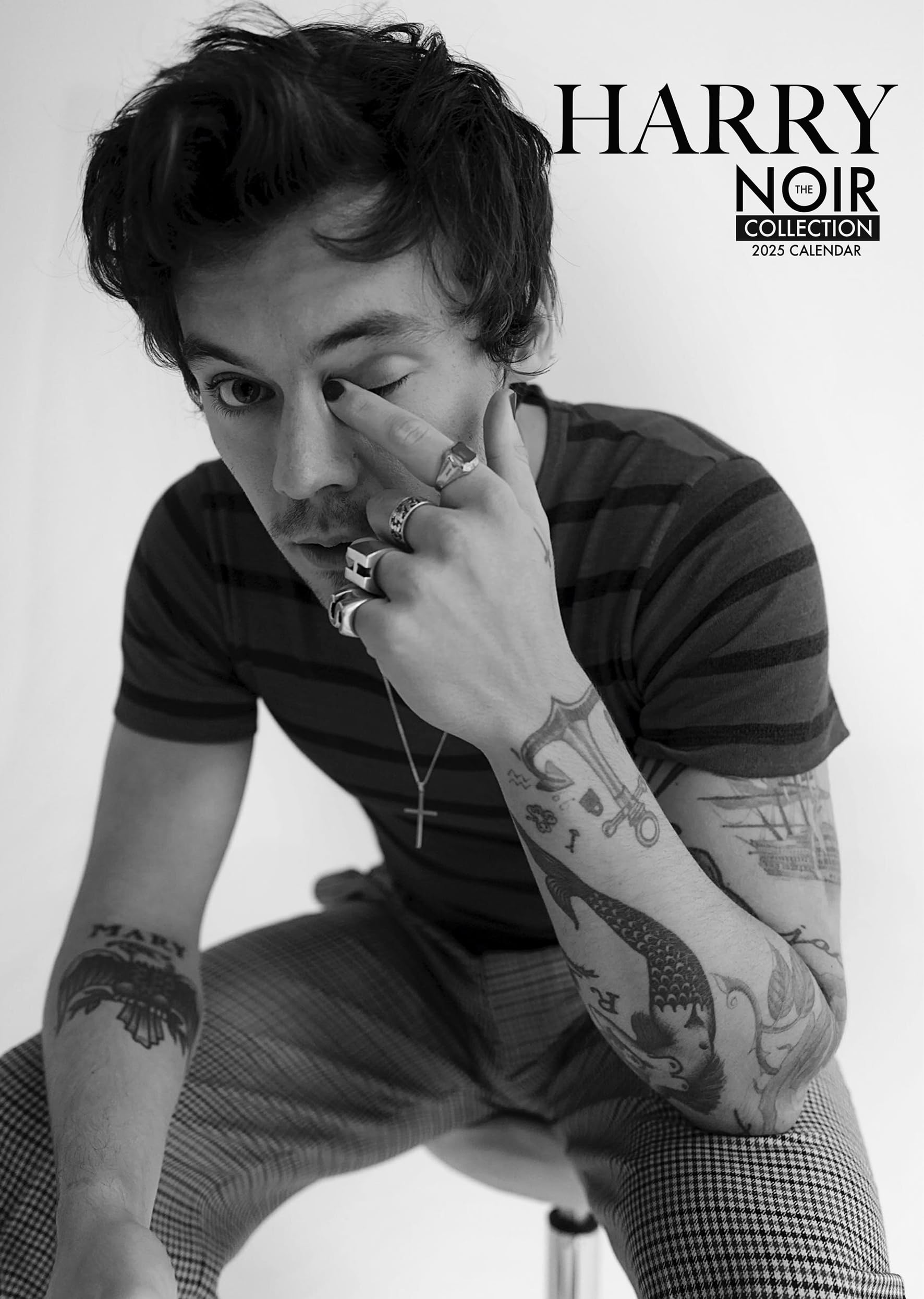 Harry 2025 A3 Limited Edition Noir Collection Wirobound Wall Calendar Ideal for a Birthday or Xmas Gift