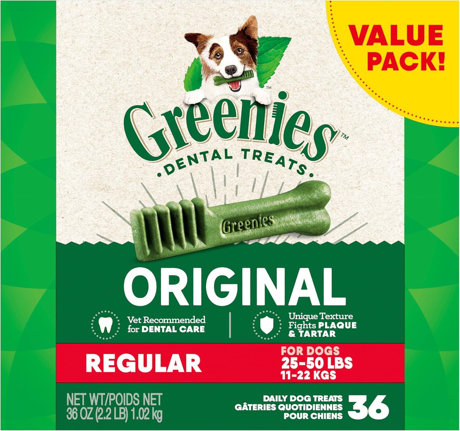 what can i use as toothpaste for my dog
