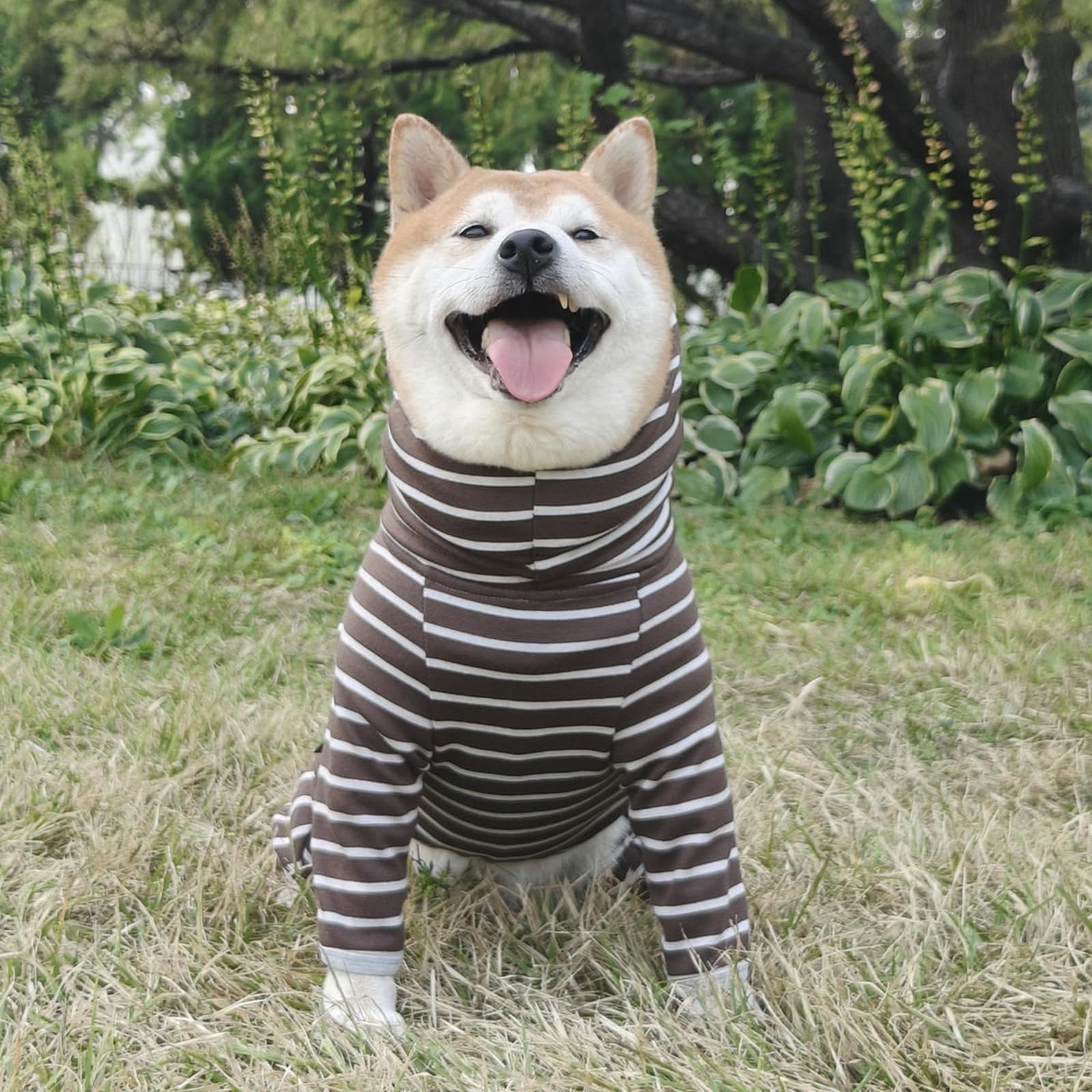 Felpa Con Cappuccio Per Cani Sportiva Alla Moda Felpe A Tutina Dolcevita A Righe Classiche Cappotto Per Cani Tuta Con Cappuccio E Maniche Lunghe A Quattro Zampe