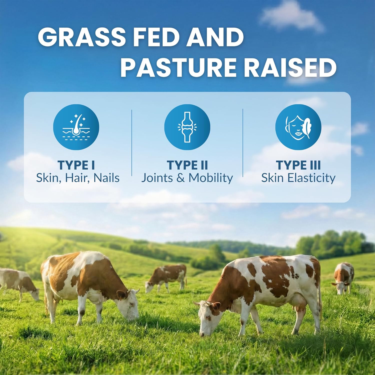 Collagen Peptides Powder Unflavored - Hydrolyzed Collagen Protein Powder Type 1, 2 & 3 - Grass Fed Keto Collagen Powder for Women & Men - Vital Hair, Skin, Nails, Joints, Recovery, 11g Per Serving - Image 5