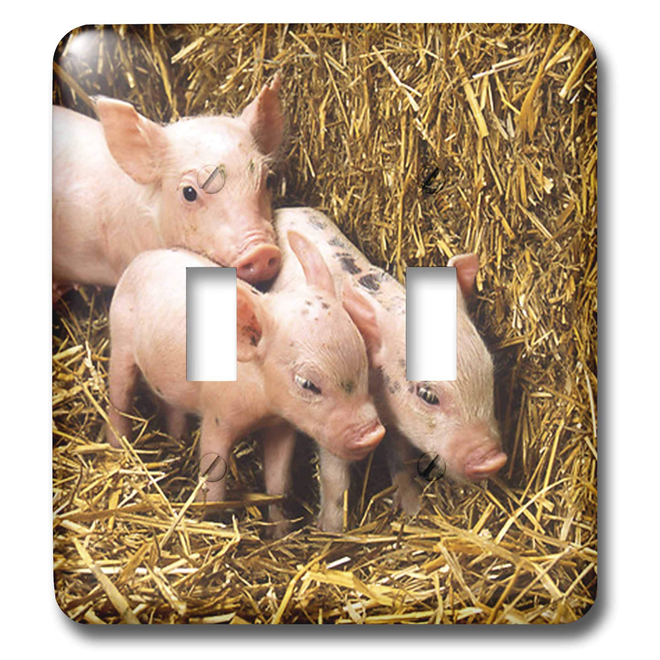 Interrupteur à bascule double 3 Little Piggies N Hay 3dRose LSP 43767 2