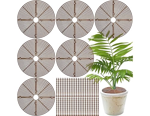 Top 10 Cat Plant Protectors in 2024: Keep Cats Away from Plants