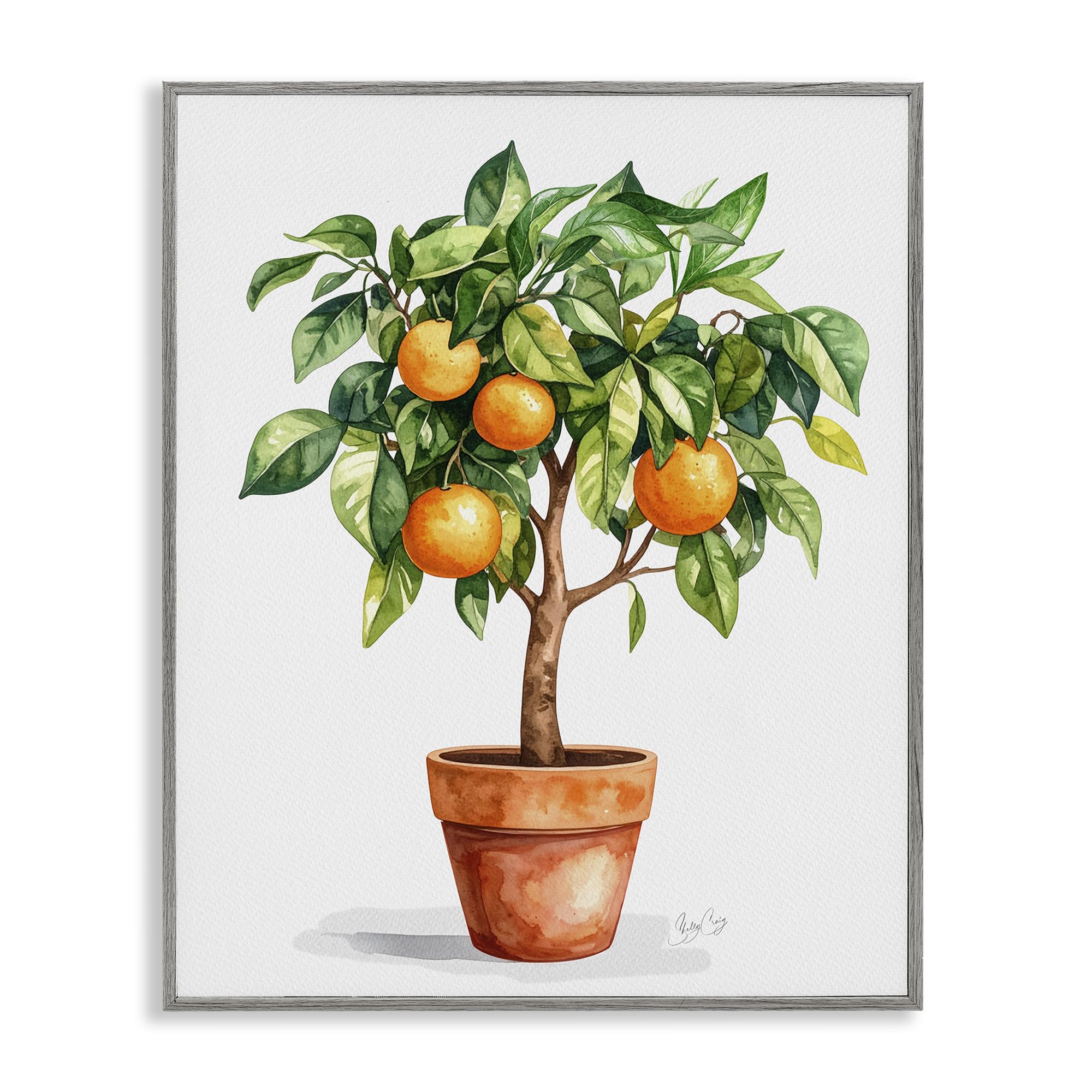 'Potted Orange Tree'| Framed Giclee Art