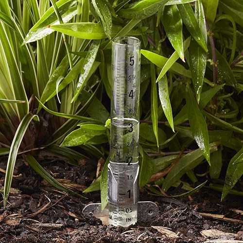 Miniatura 2 de Taylor 2710N2 - Medidor de lluvia montable, mide y monitoriza la precipitación, fácil de leer para patio trasero, patio, jardín y césped, paquete