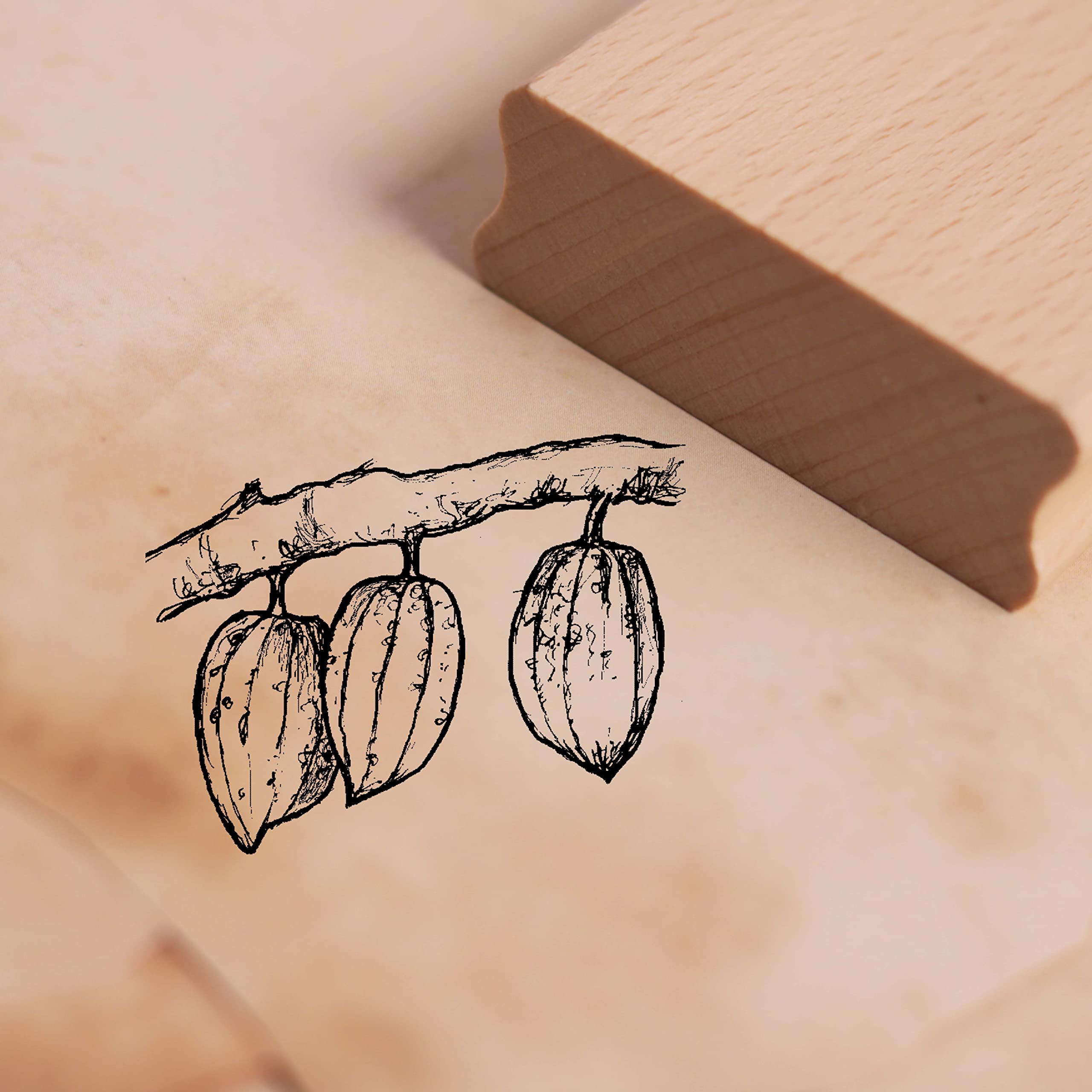 Deko-Lando Natural Motif Stamp Cocoa Bean 48 X 38 Mm