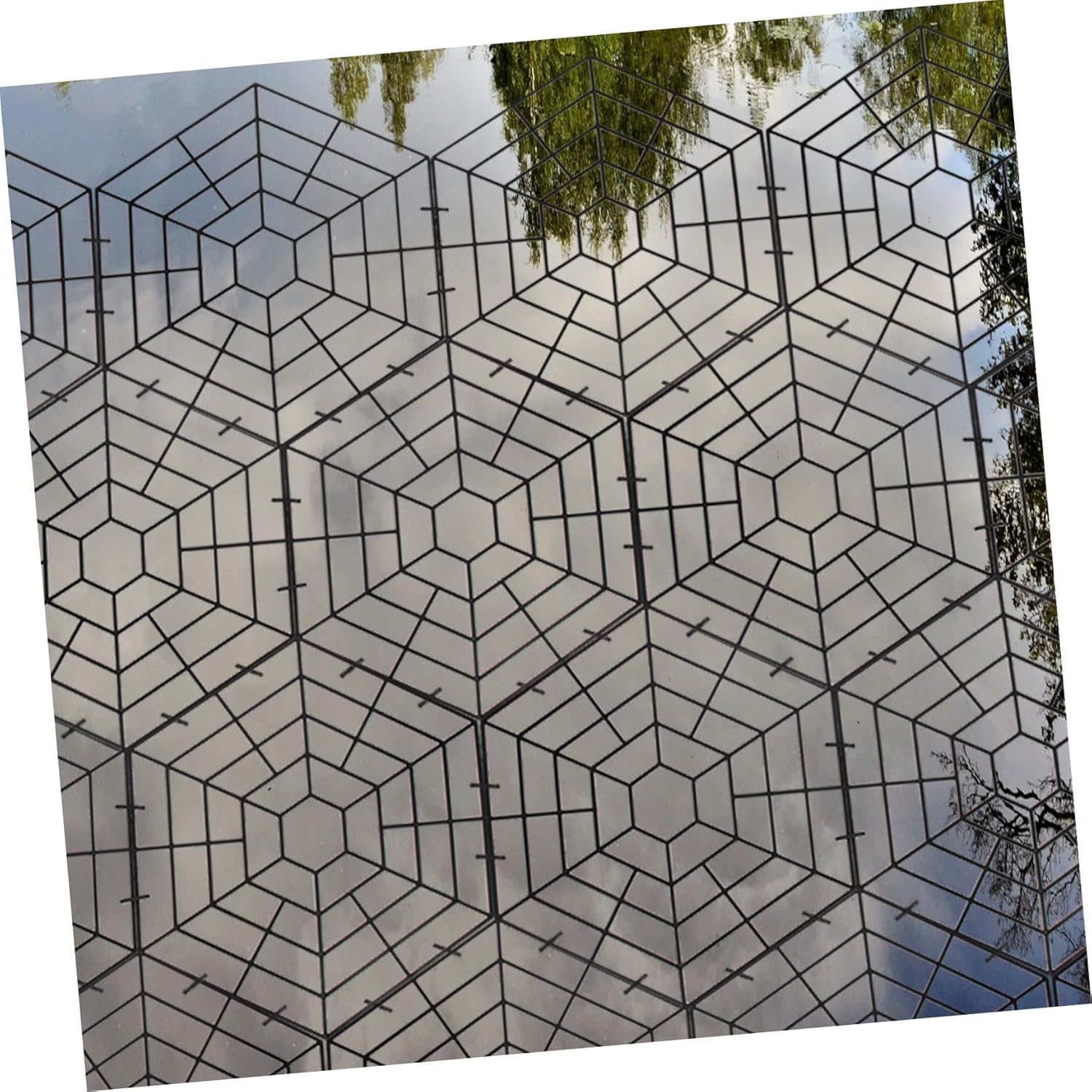 30Pcs Six Angle Protector Nets Durable Plastic Fish Protection Mesh for and Aesthetic Preservation Your Fish