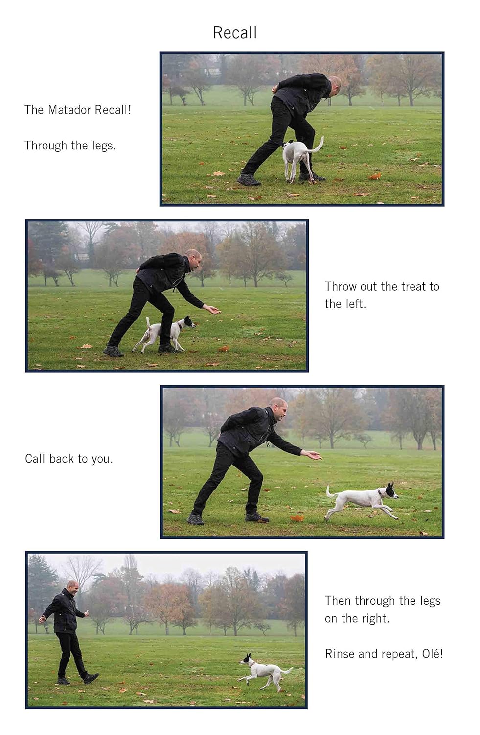 Easy Peasy Puppy Squeezy: The UK's No.1 Dog Training Book 4 Easy Peasy Puppy Squeezy: The UK's No.1 Dog Training Book