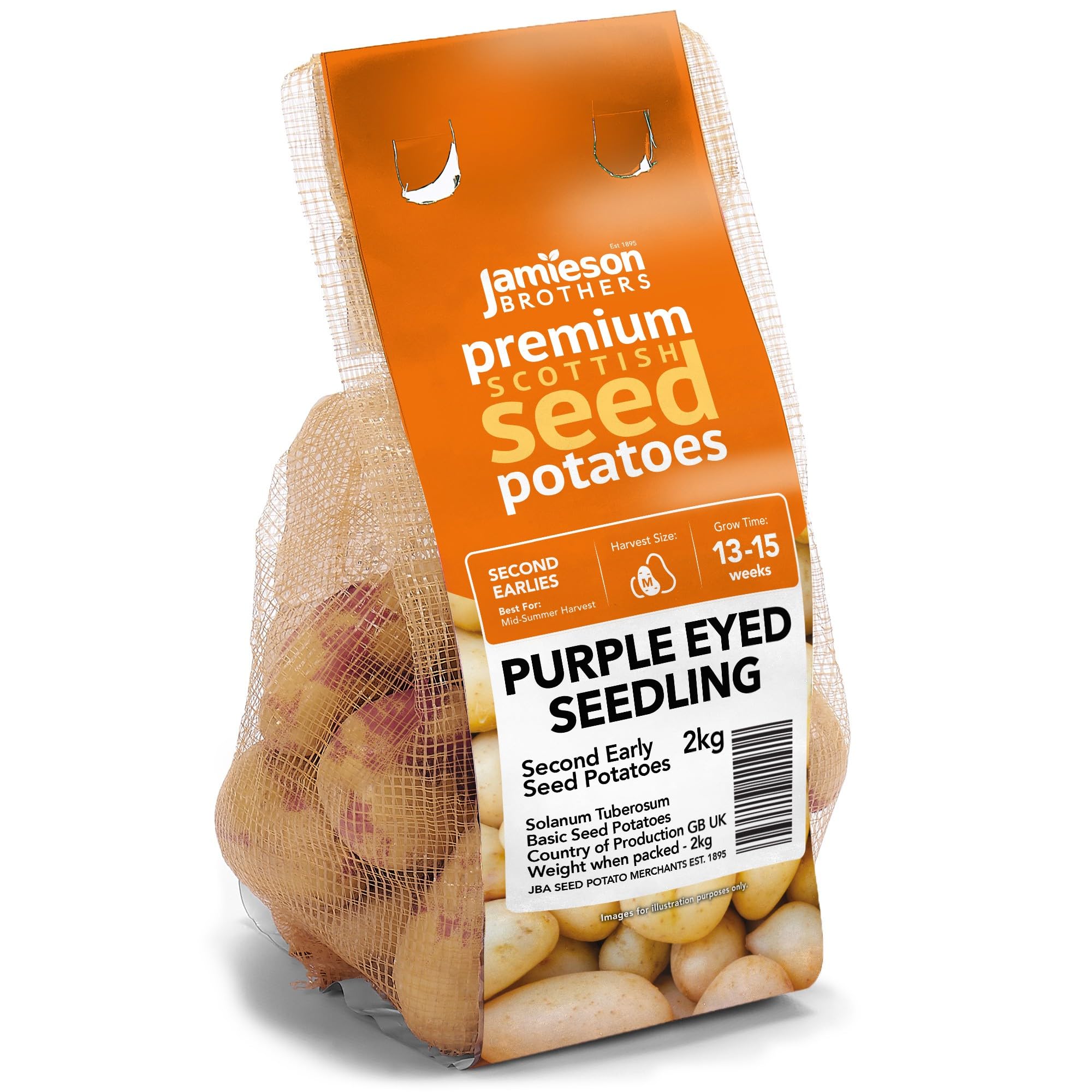 Purple Eyed Seedling Seed Potatoes Scottish 2kg (Approx. 20-25 Tubers)