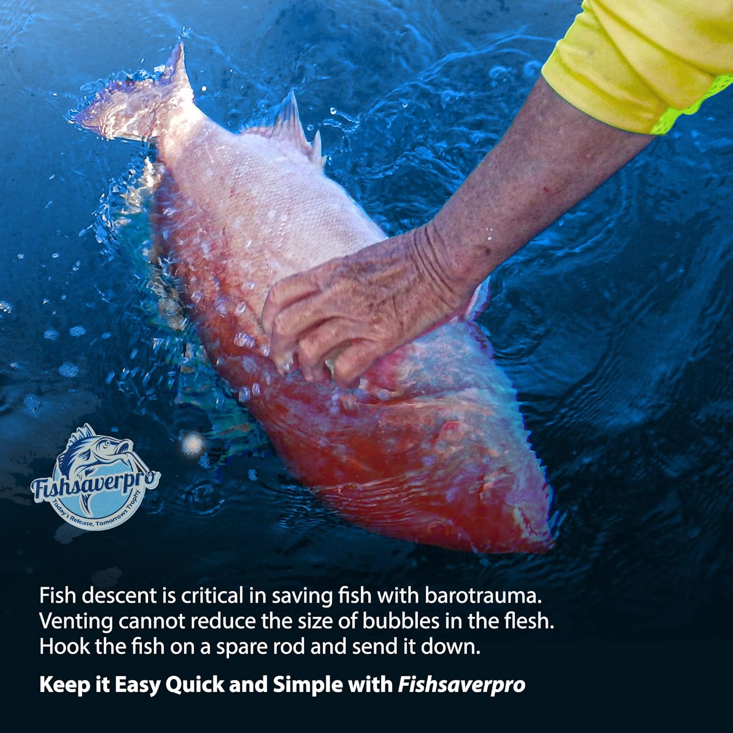 fish descending return device - 2 Pack- Compact & reliable release device built for long life. No mechanical release to fail. Great for red snapper. Unlike venting tools NOAA preferred.