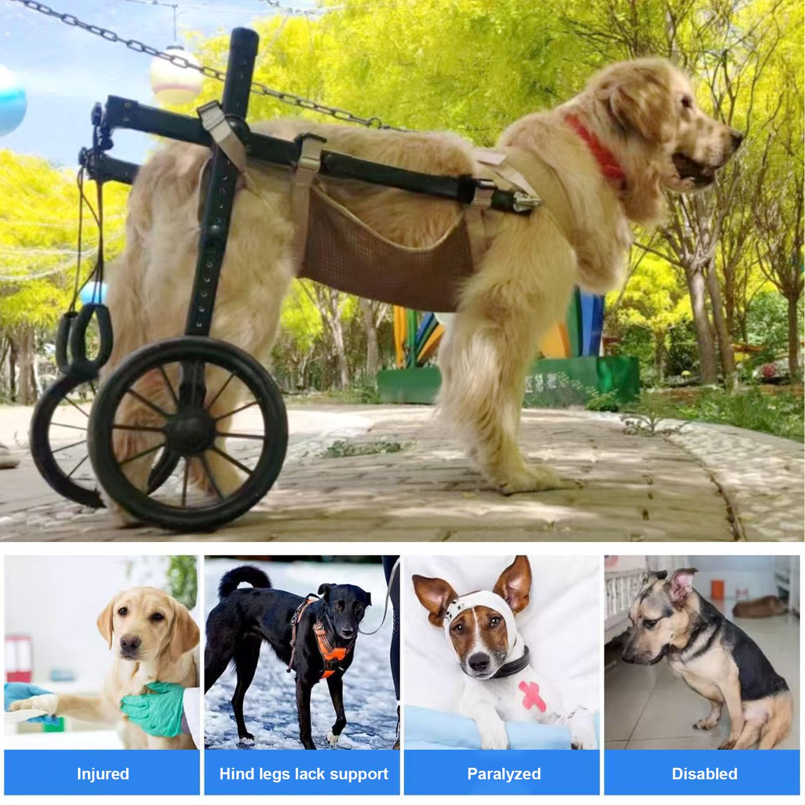 Silla de Ruedas para Perros Grandes con Patas Traseras, Ayuda A La Movilidad y Carrito para Mascotas Discapacitadas, Ideal para Rehabilitación de Piernas En Personas Mayores XL