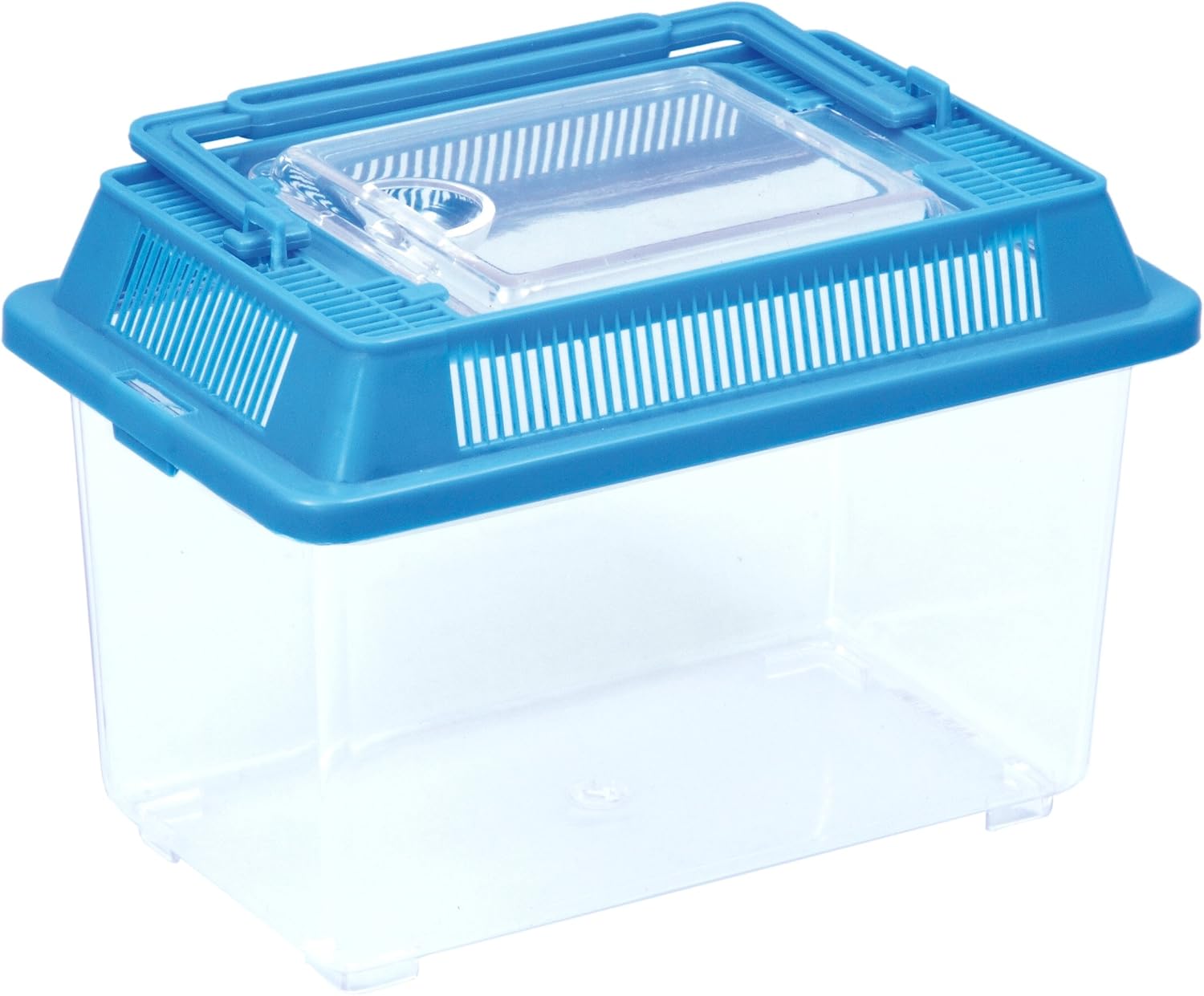 Amazon.com: Artech Vivarium Insect Basket observed Insect Collecting ...