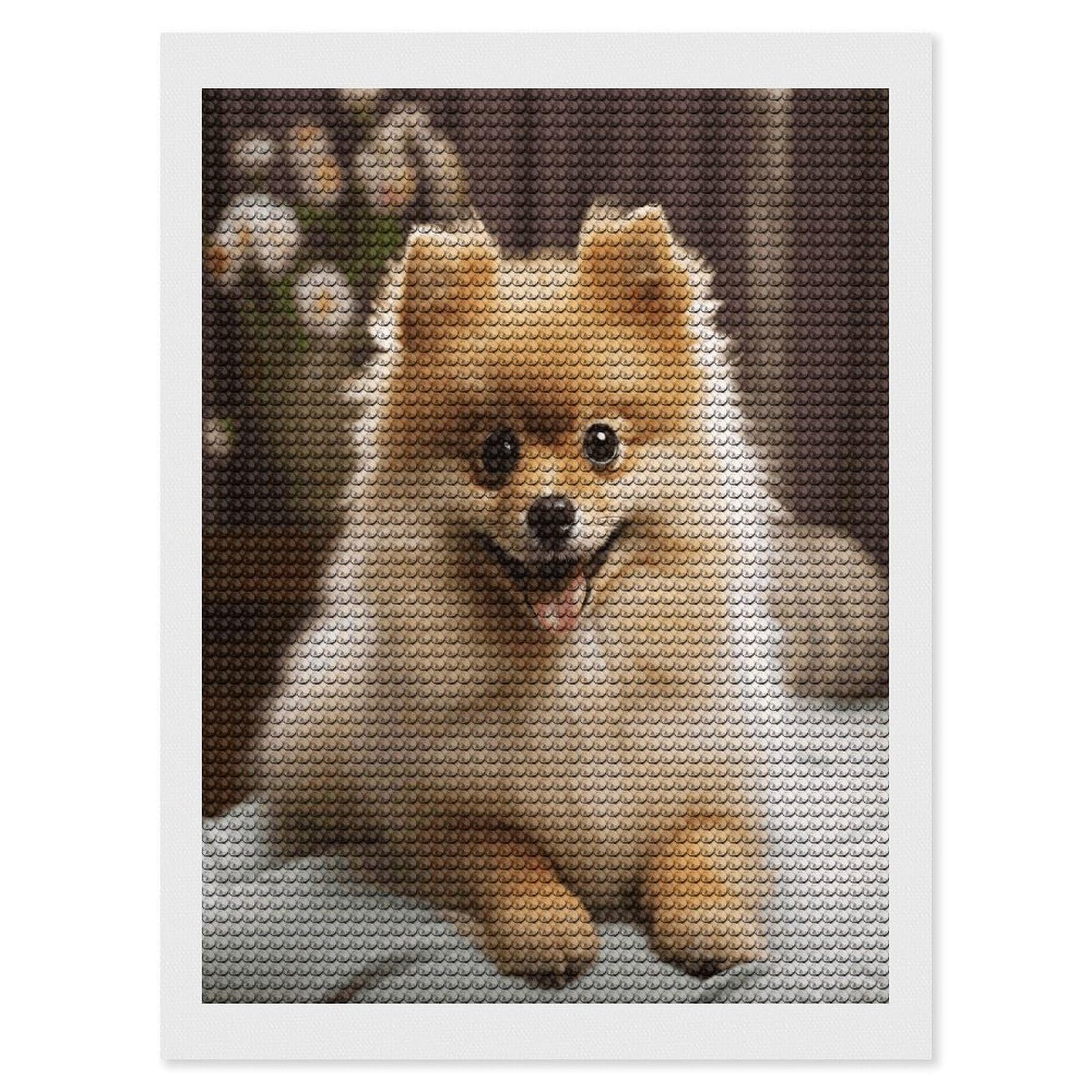 VstaDank Cute Pomeranian Dog Diamond Painting Kits Exquisite DIY Full Round Drill Diamond Dots Painting for Adults Beginner Diamond Photo Paint with Diamond Picture Art Wall Decor 12"x16"