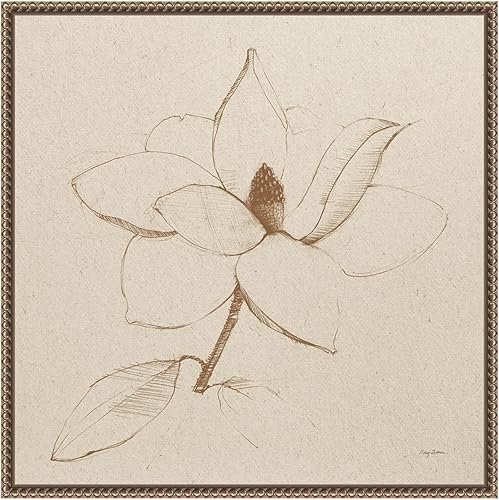 Amanti Art Framed Canvas Wall Art 22x22 Modern Vintage Floral II by Avery Tillmon, Framed Wall Art Canvas, Flowers Artwork, Traditional Decor,