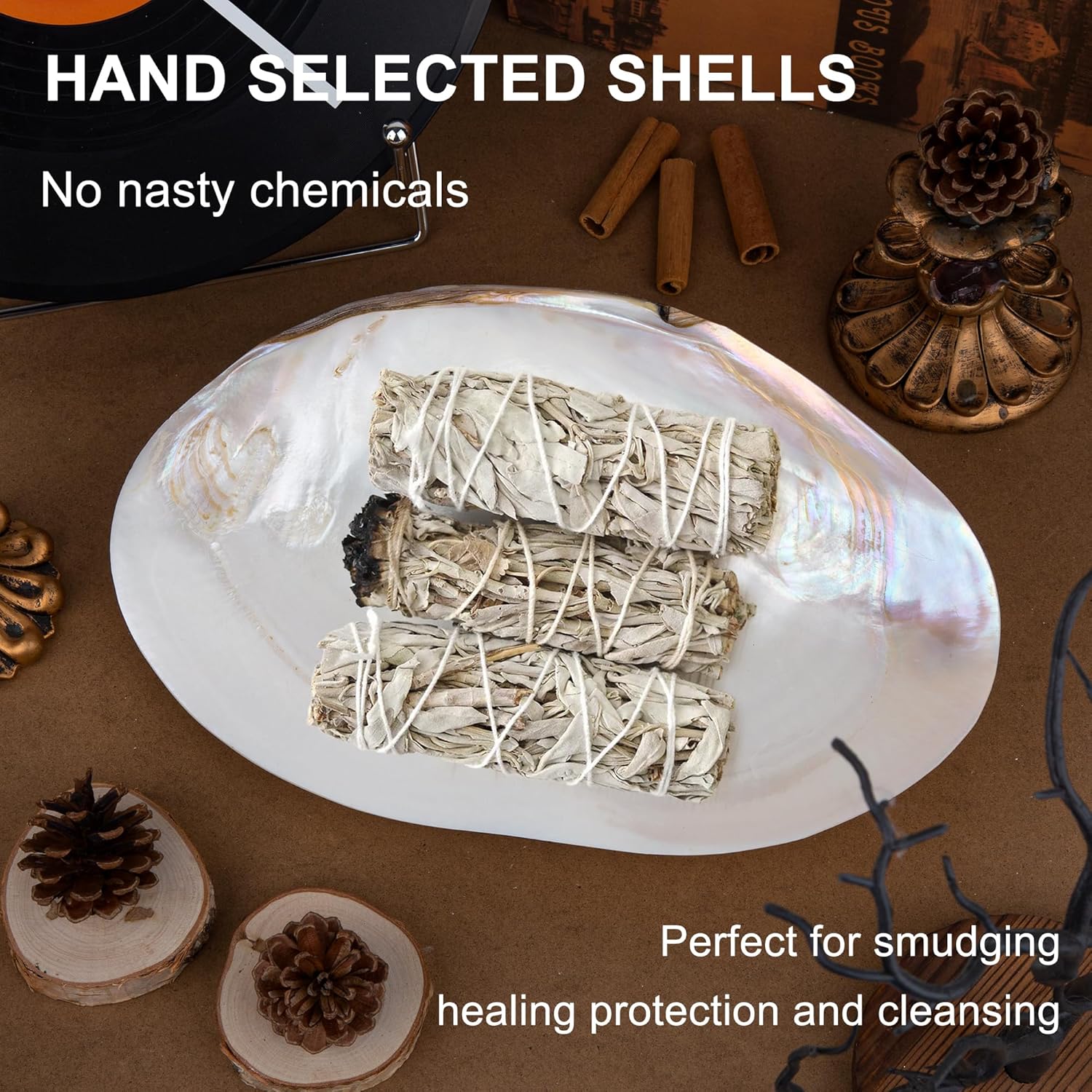 QEQEKAKA 11" Natural Seashell Decorative Bowl (Note: A base is required.) Extra Large Polishing Clam Shell Bowl for Crafts & Coastal Nautical Home,Beach Party Wedding Shell Home Decor - Image 7