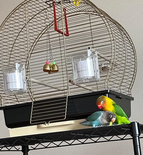 【数量限定】ファープラスト 鳥かご ルナ 2 ゴールド(つやなし) 小型鳥用 Amazon | ファープラスト 鳥かご ルナ 2 ゴールド(つやなし) 小型鳥用