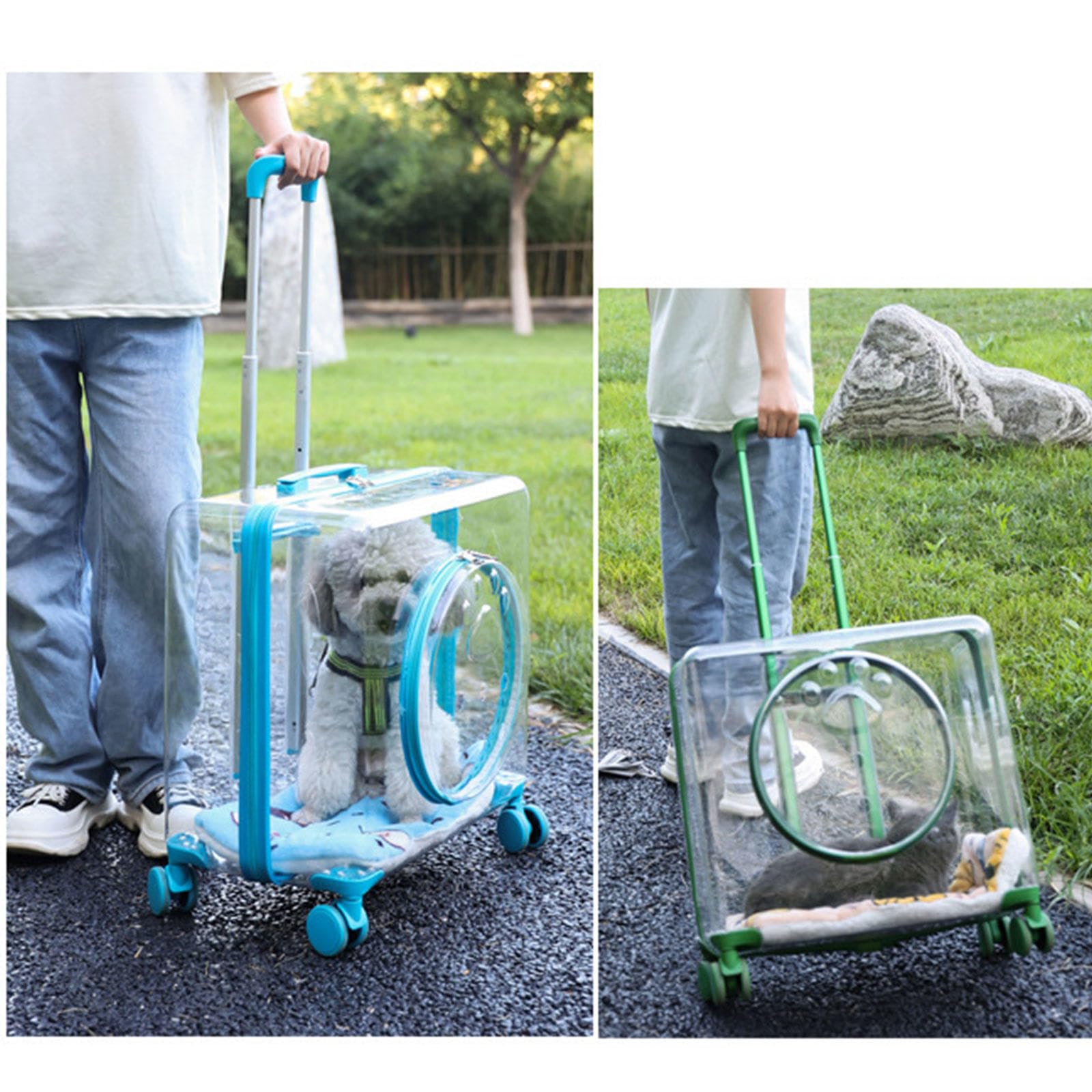 Trasportino per Gatti Bubble Trasparente con Ruote, Trasportino per Cani da Viaggio Respira Liberamente con Tappetini, Trasportino Leggero con Rotelle per Cani e Gatti,Green